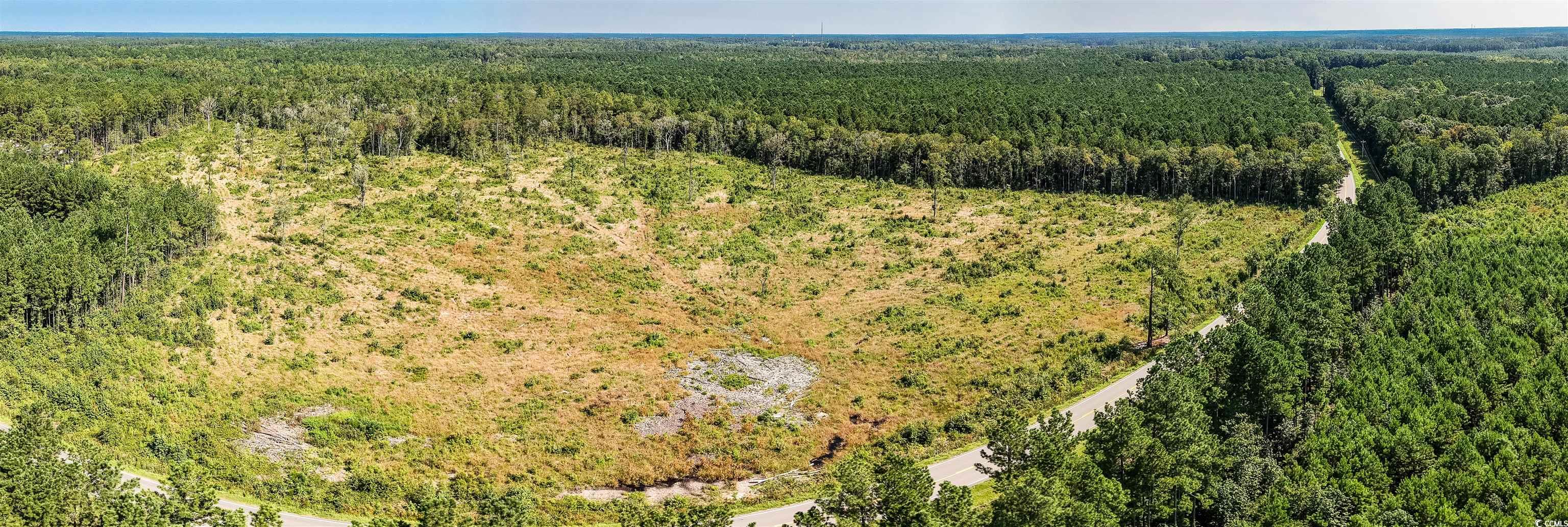 Tbd Pitch Landing Rd. Property Photo 12