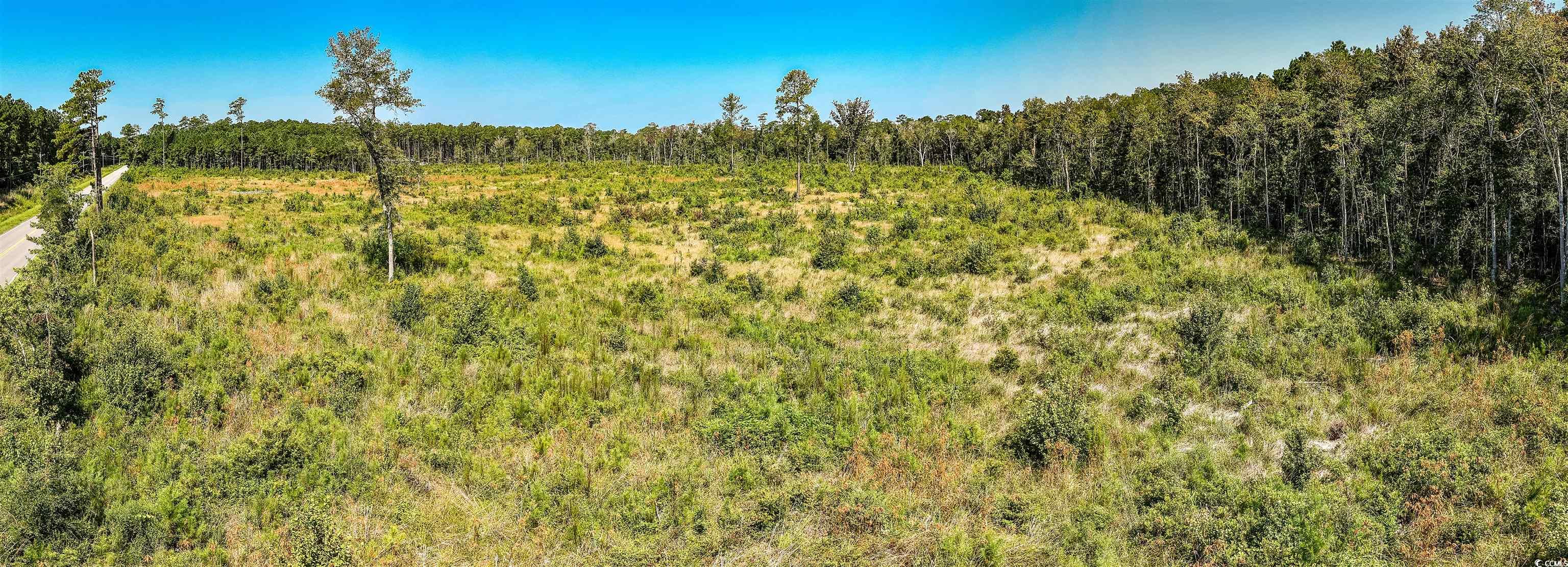 Tbd Pitch Landing Rd. Property Photo 14