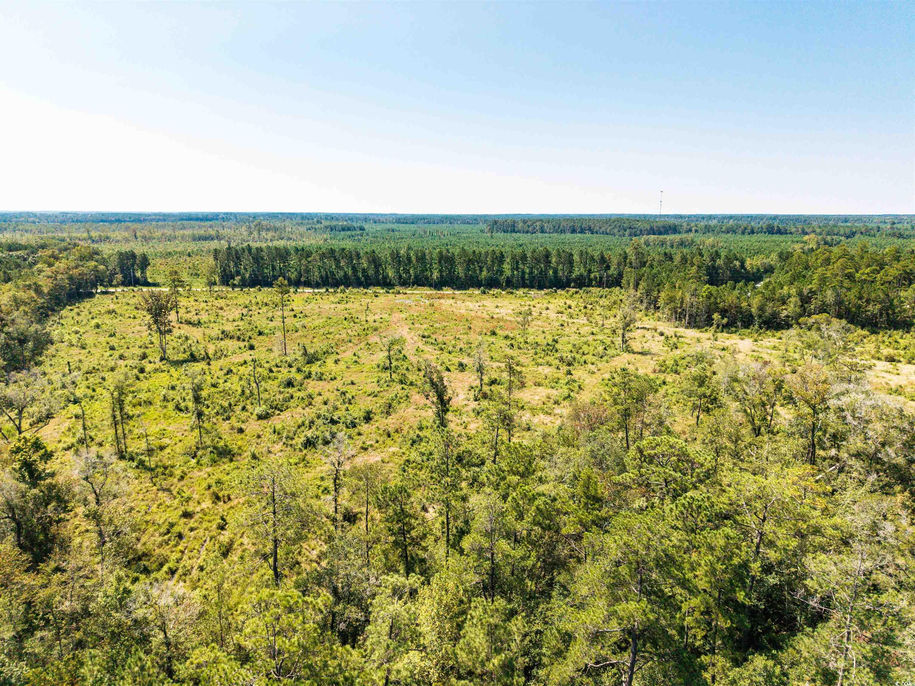 Tbd Pitch Landing Rd. Property Photo 15