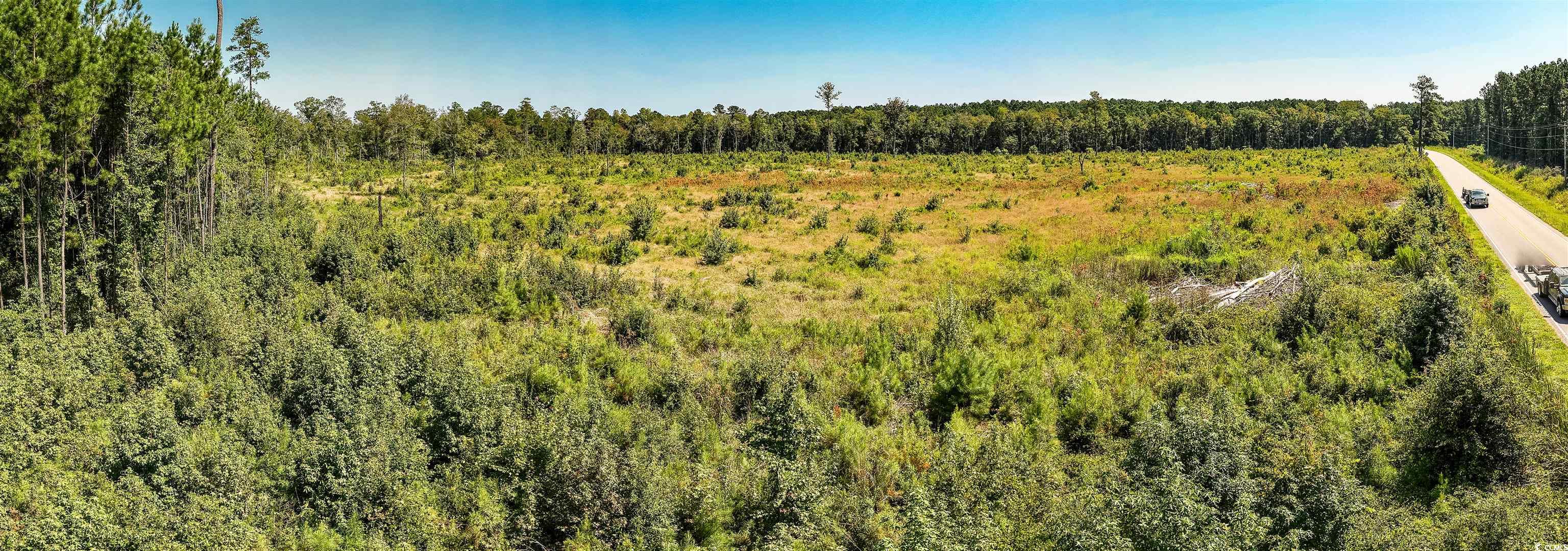 Tbd Pitch Landing Rd. Property Photo 16