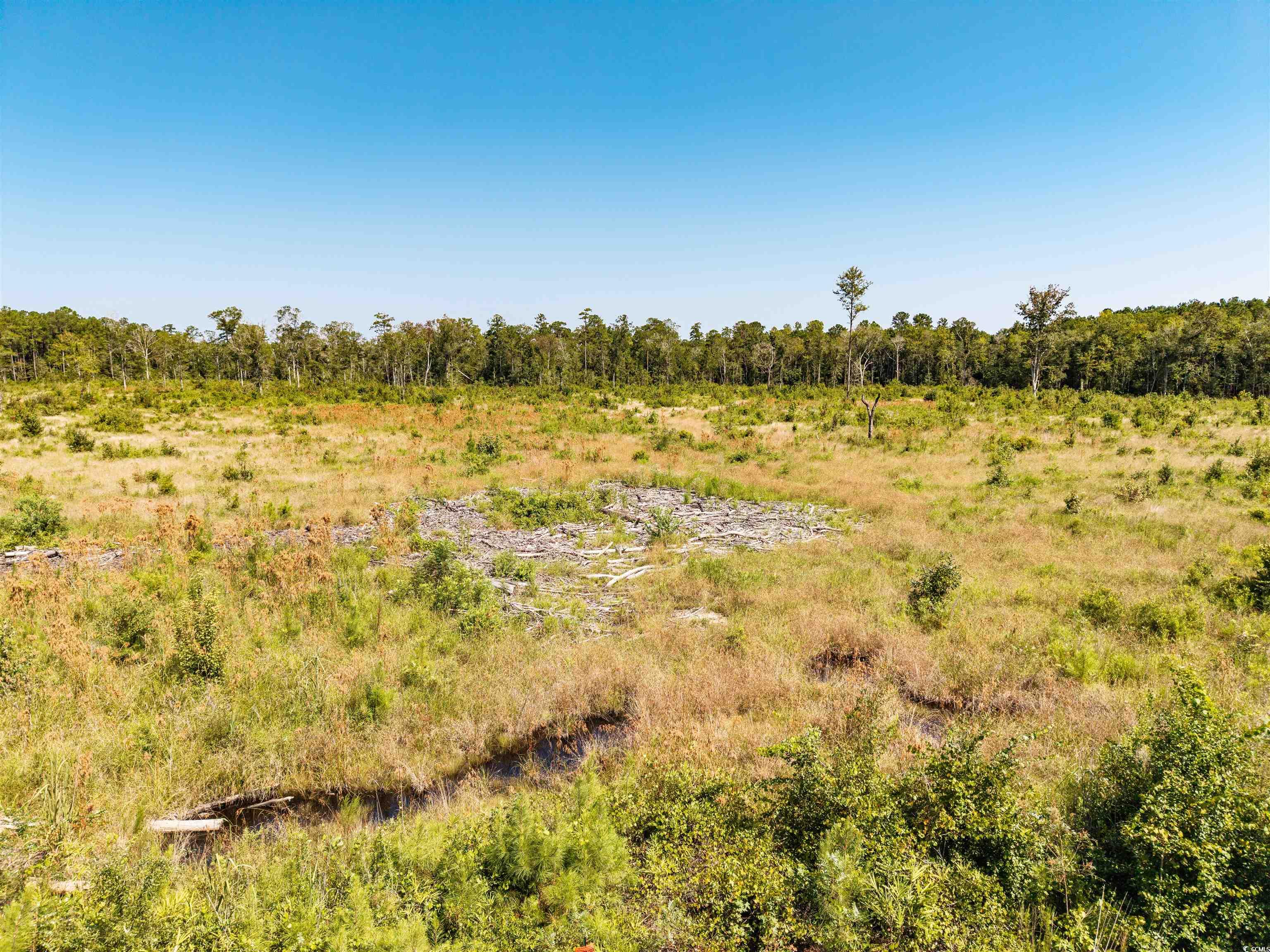 Tbd Pitch Landing Rd. Property Photo 17