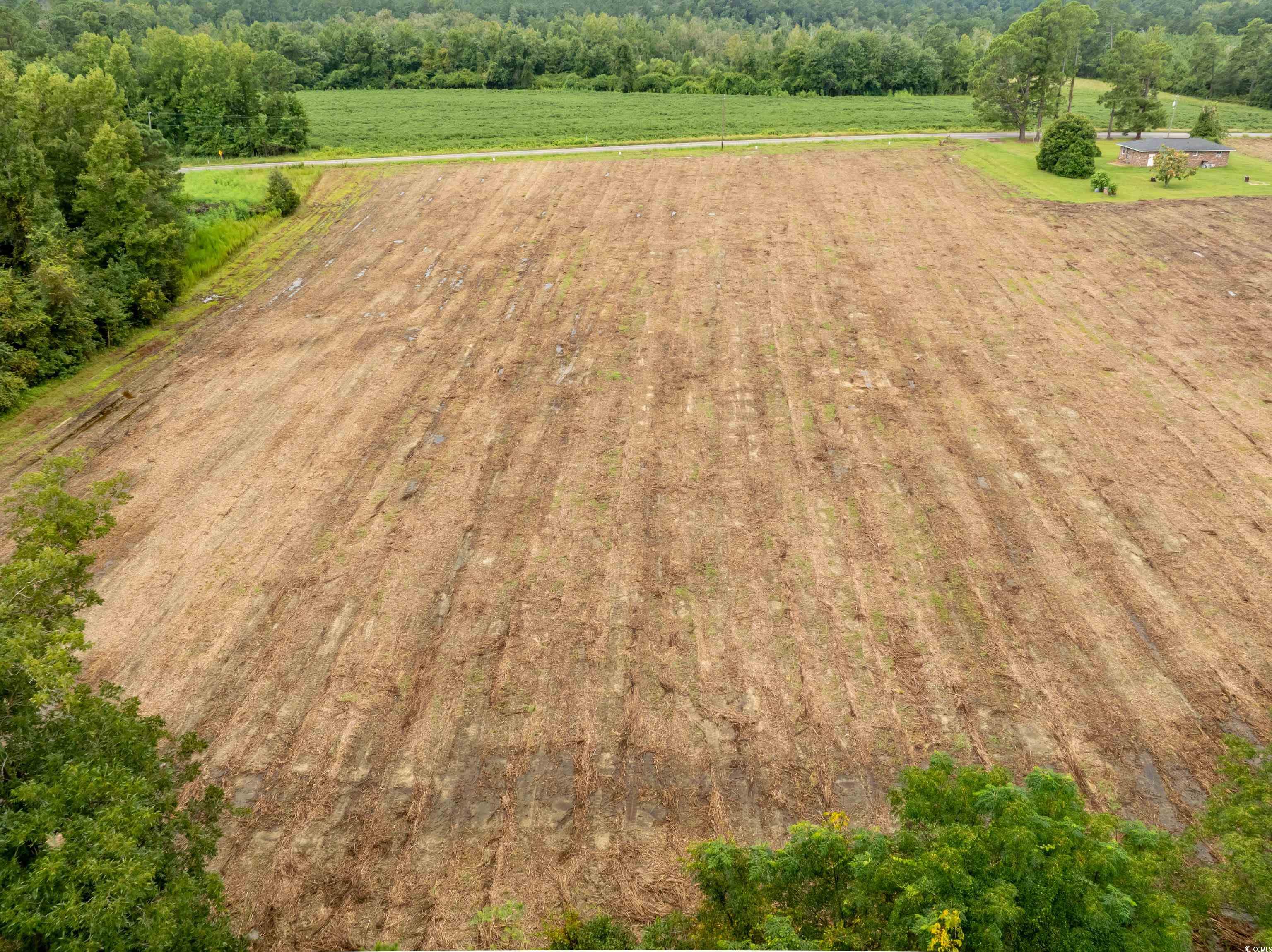 Tbd Lot 7 Mount Olive Church Rd. Property Photo 5
