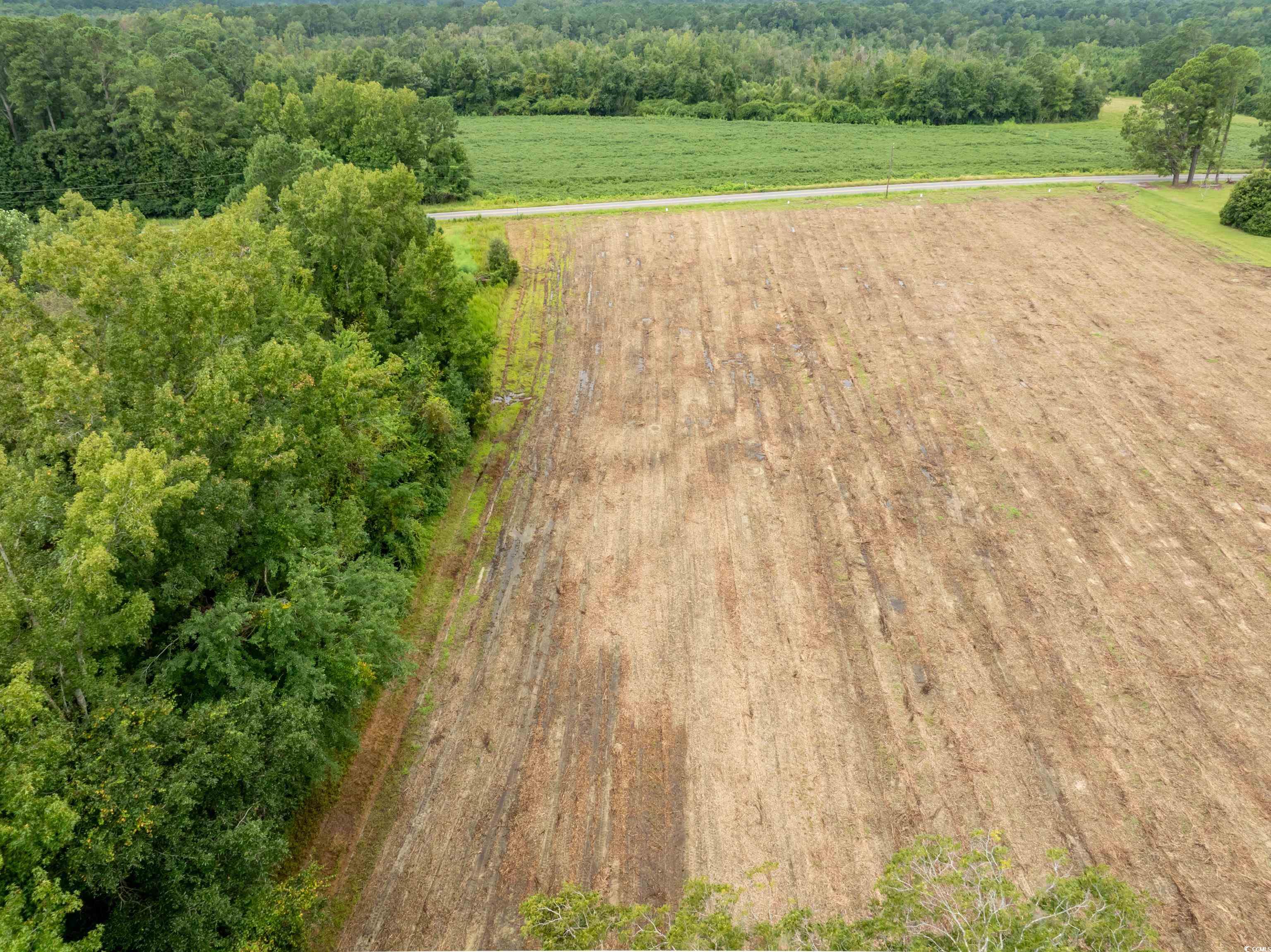 Tbd Lot 7 Mount Olive Church Rd. Property Photo 6