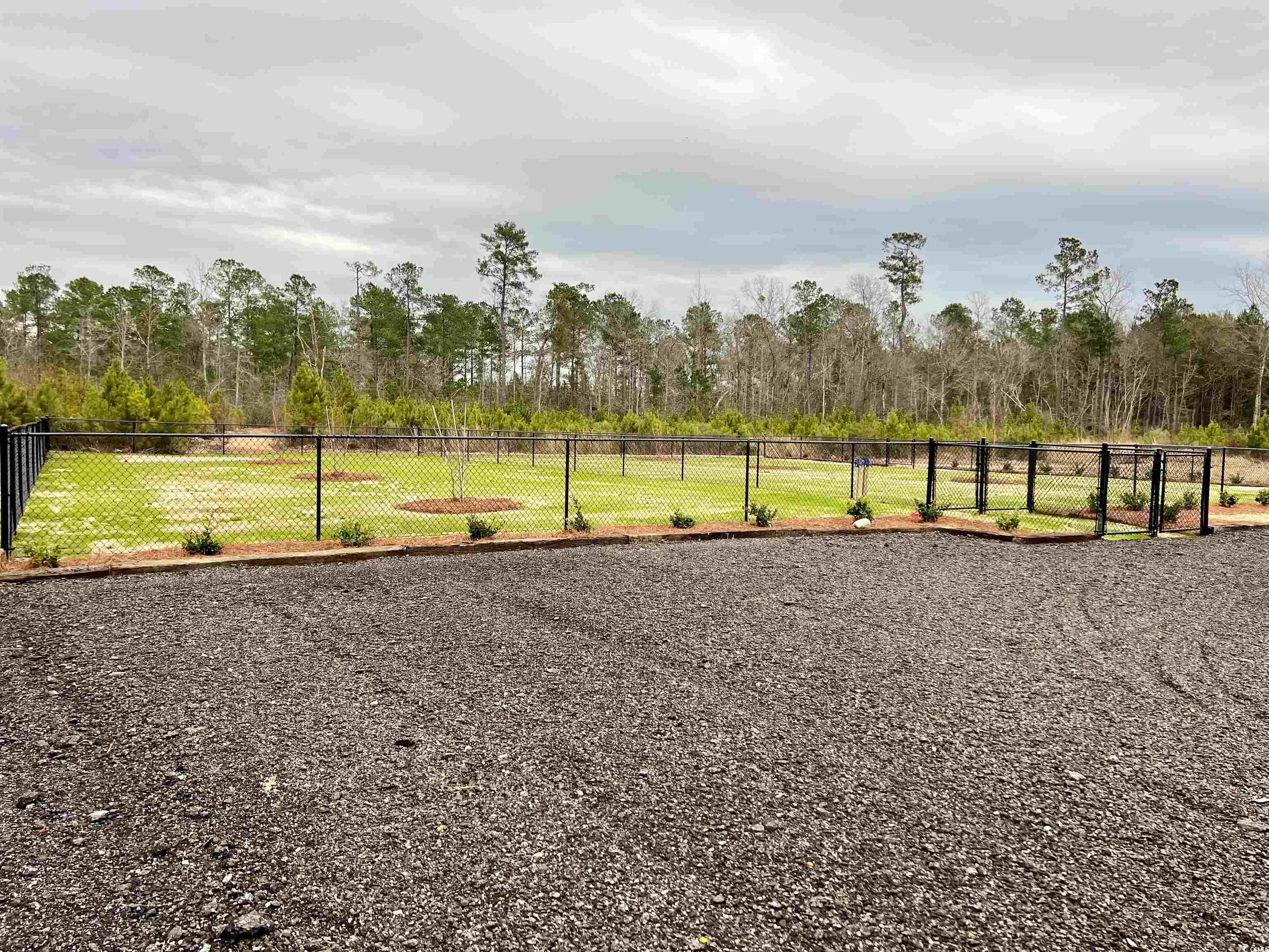 602 Lightwood Dr. Property Photo 20