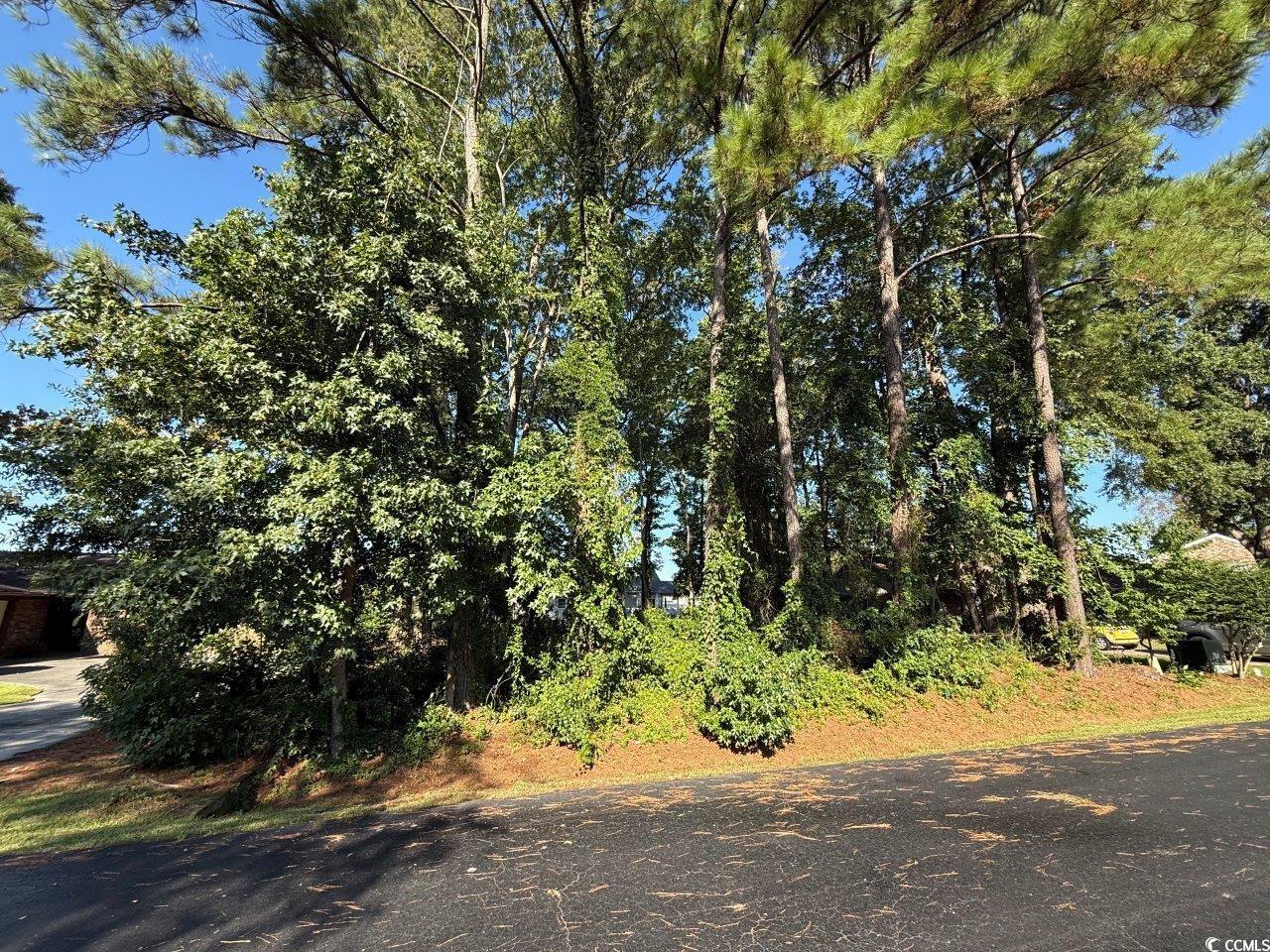 Lot 547 Circle Dr. Property Photo 1