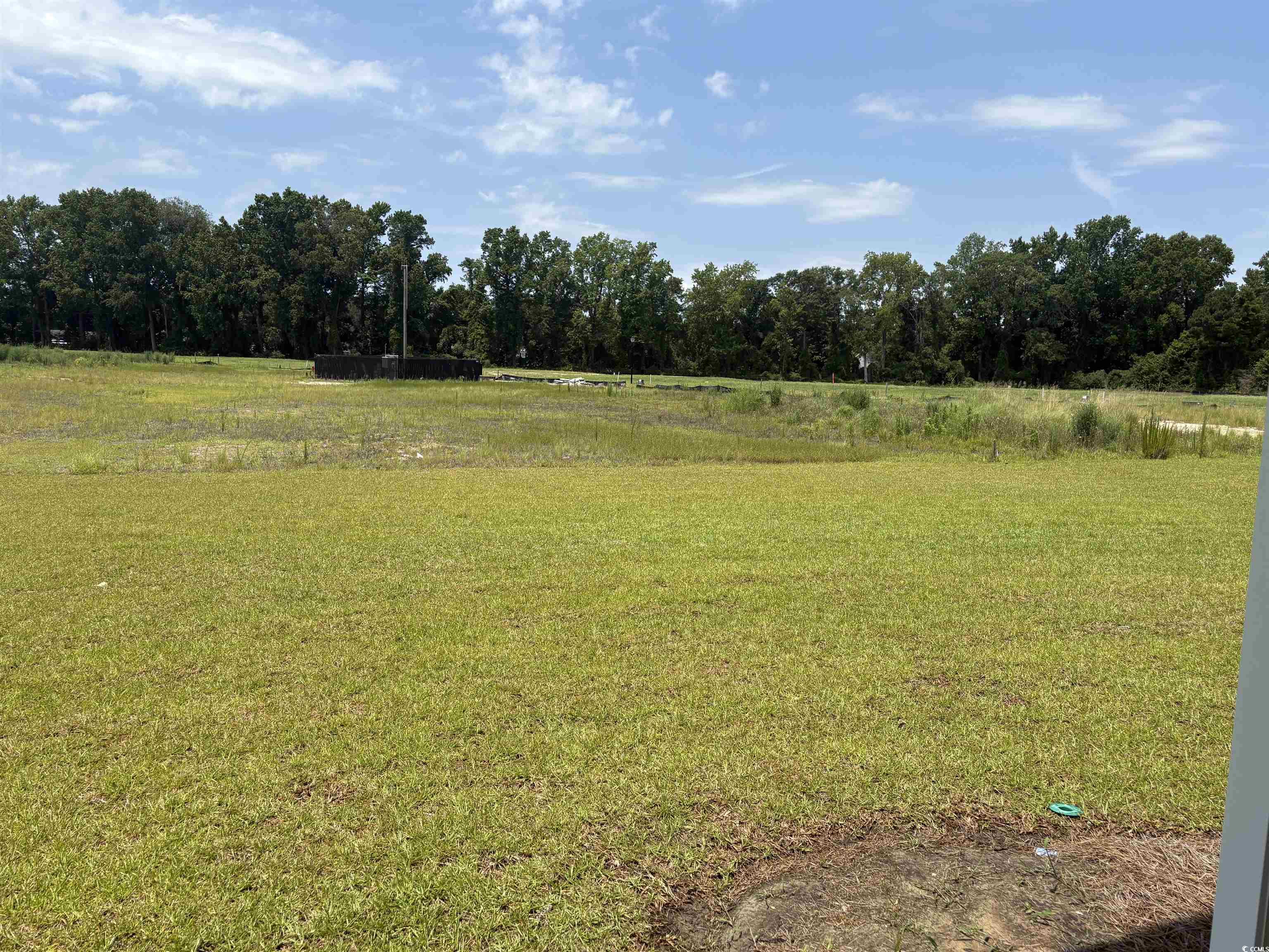 533 Briarfield Loop Property Photo 9