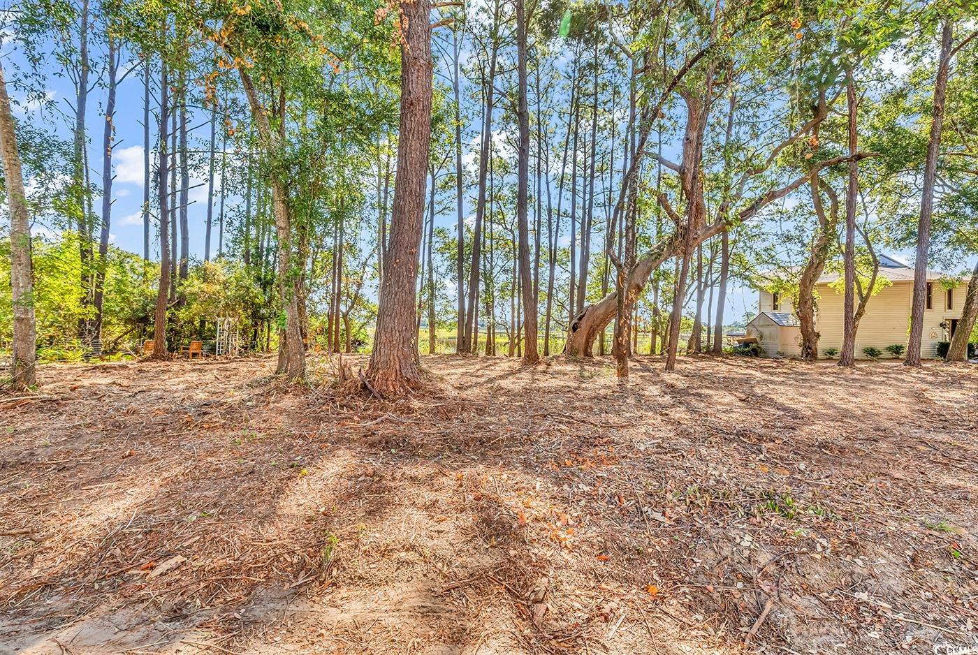 161 Sea Level Loop Property Photo 1