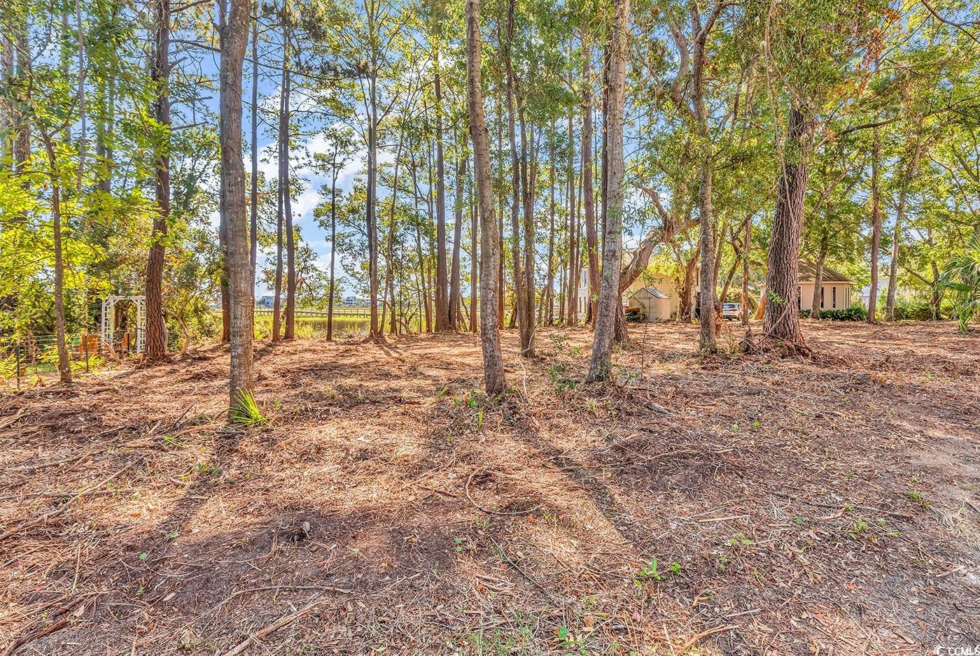 161 Sea Level Loop Property Photo 2