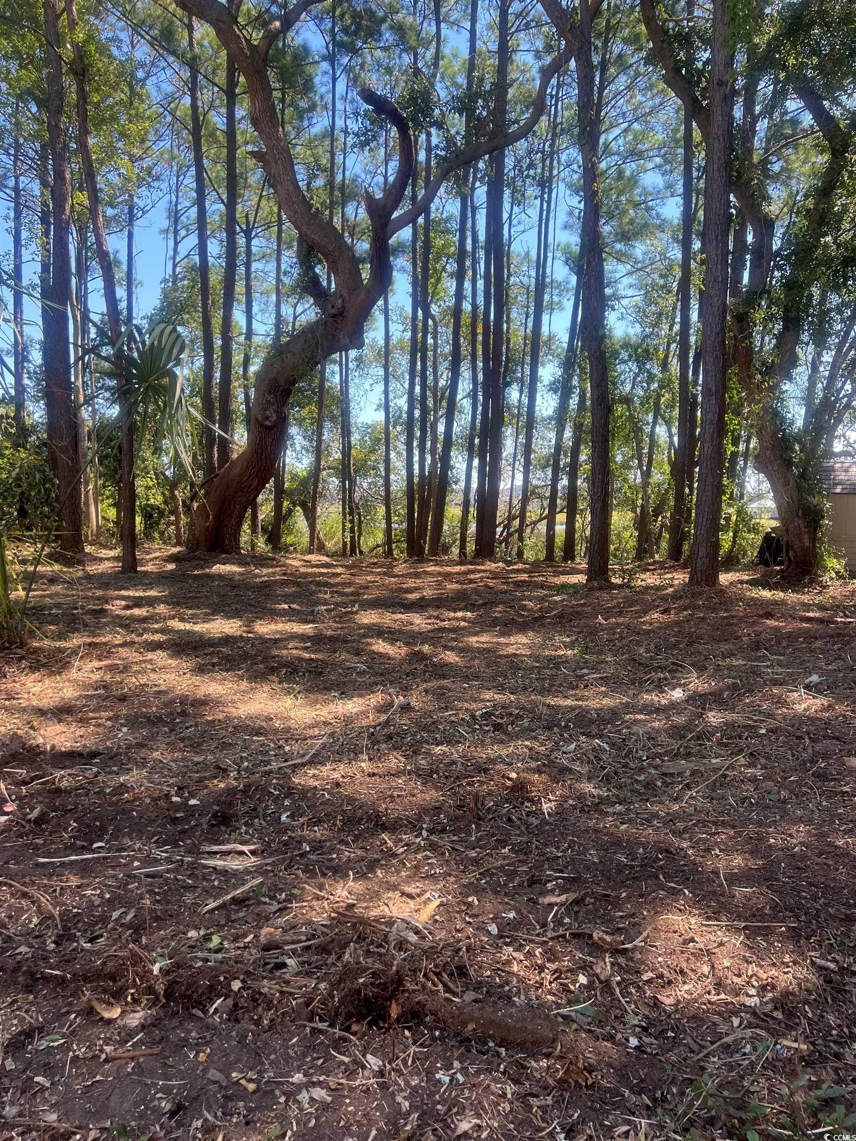 161 Sea Level Loop Property Photo 3