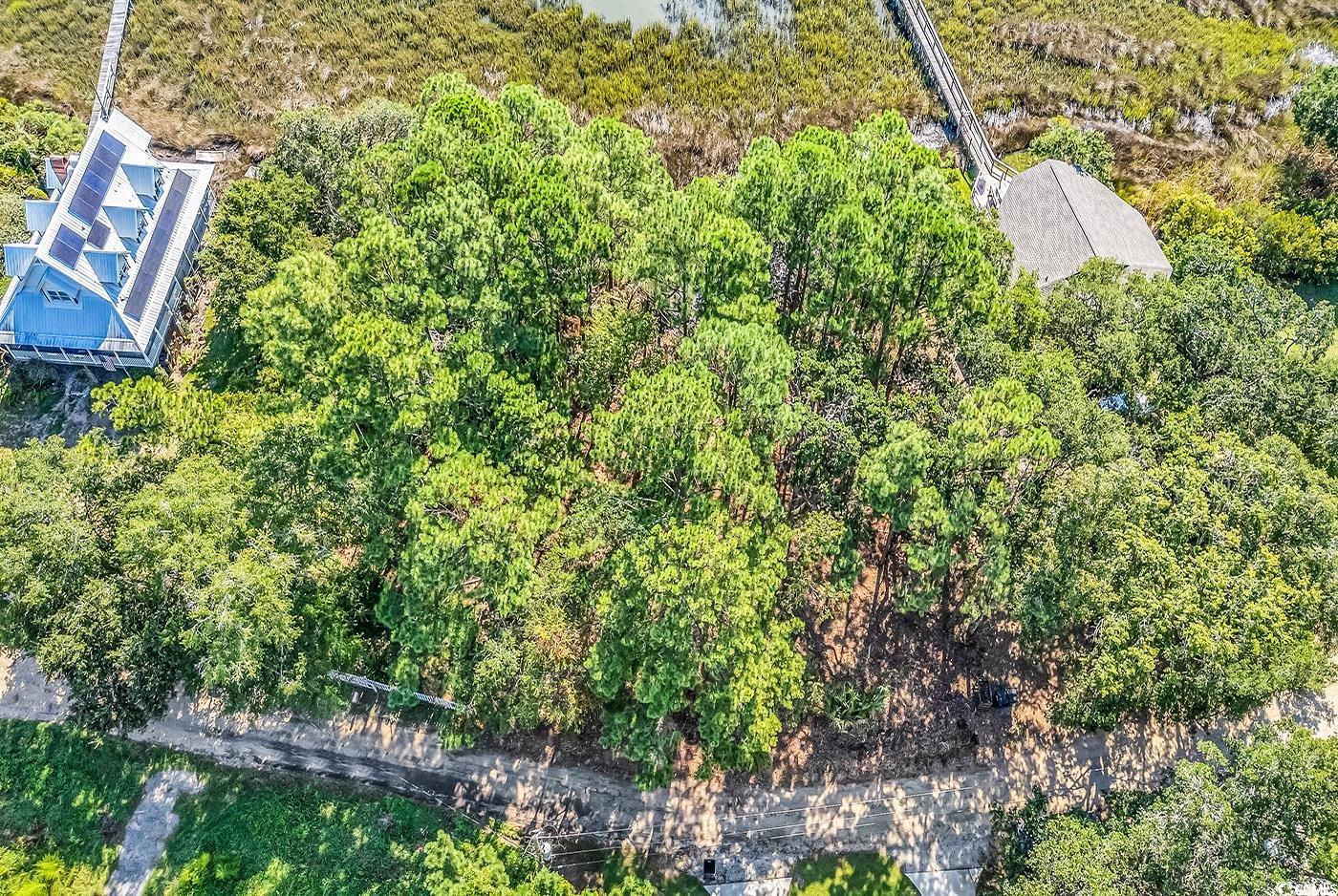 161 Sea Level Loop Property Photo 4