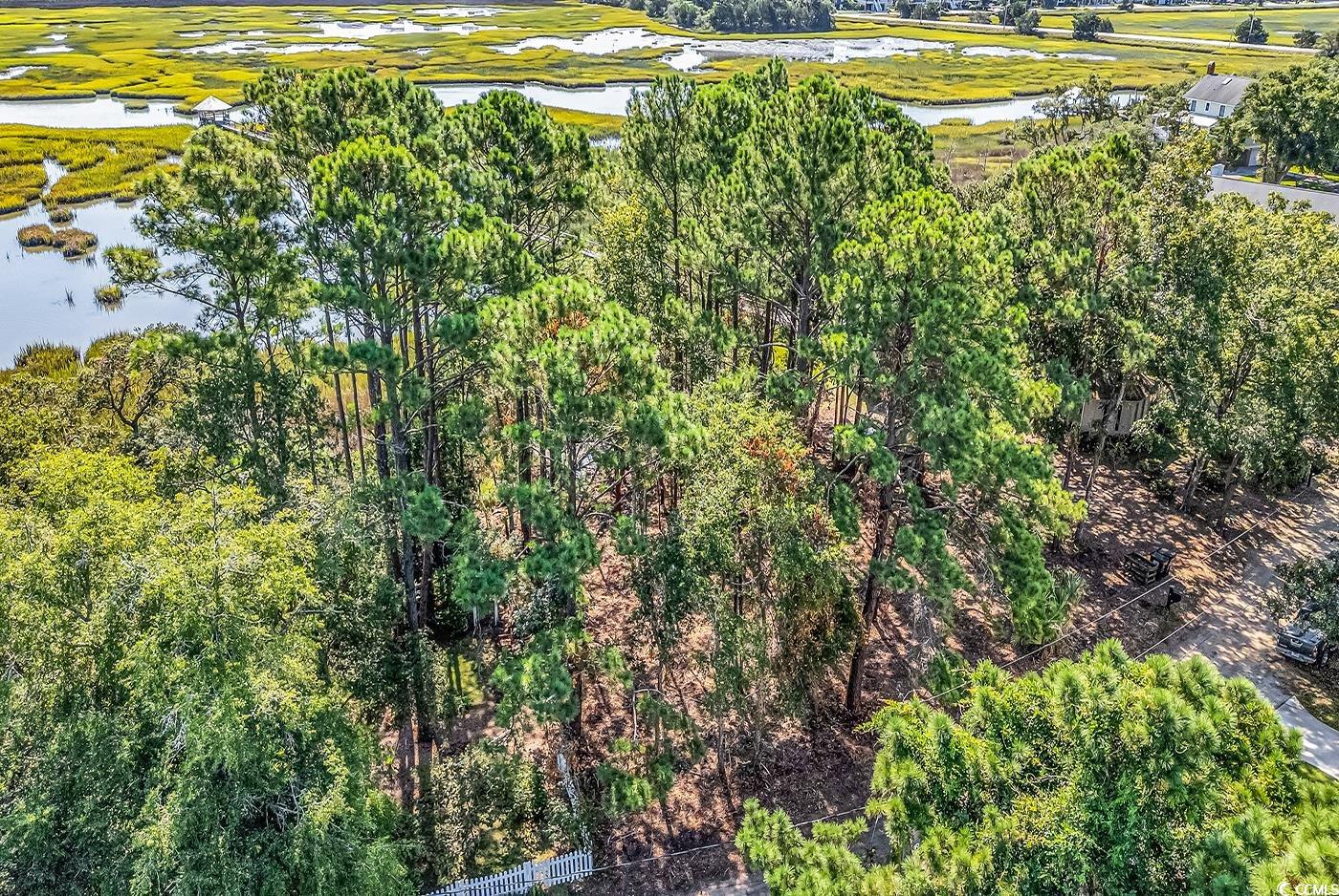 161 Sea Level Loop Property Photo 5