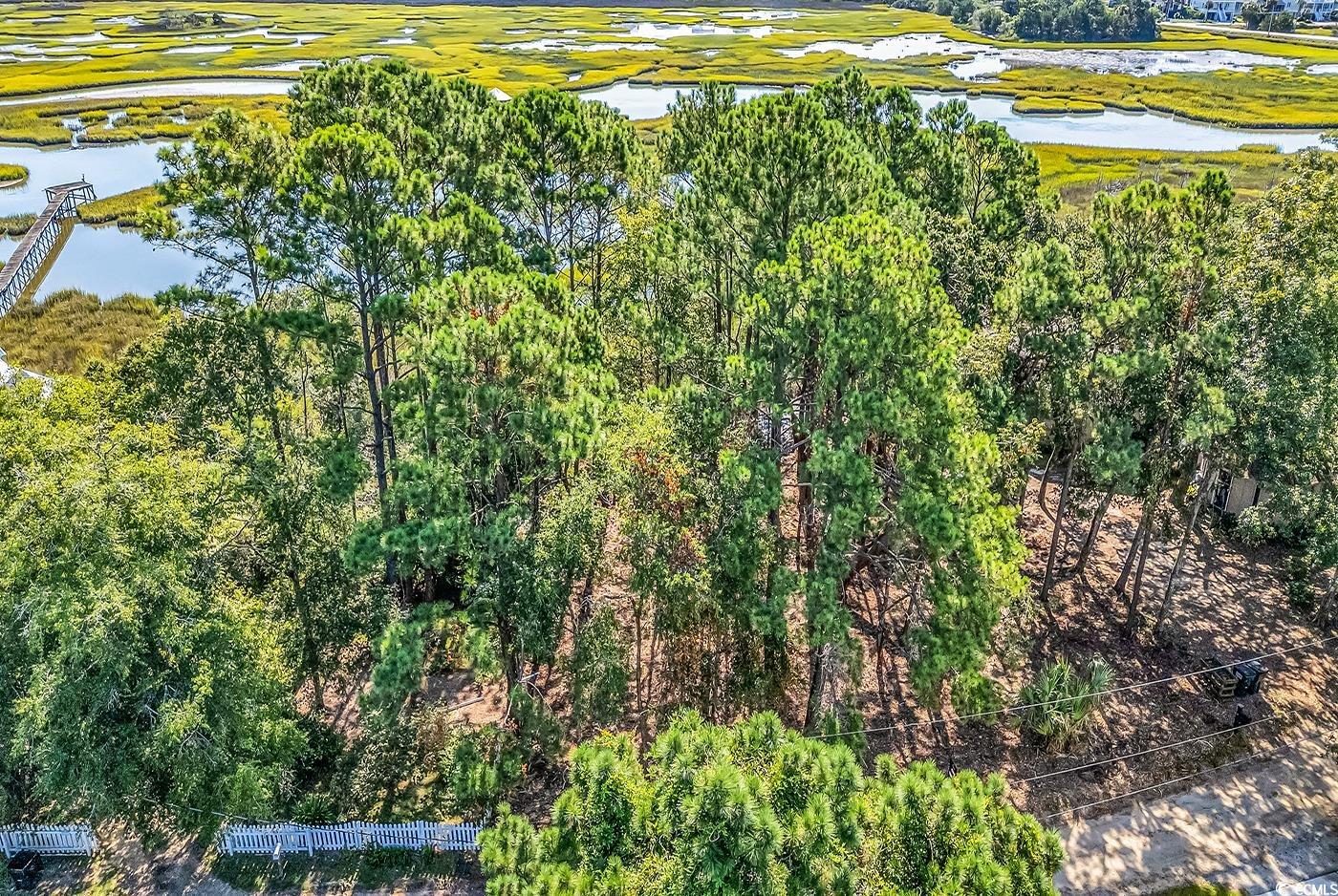 161 Sea Level Loop Property Photo 6