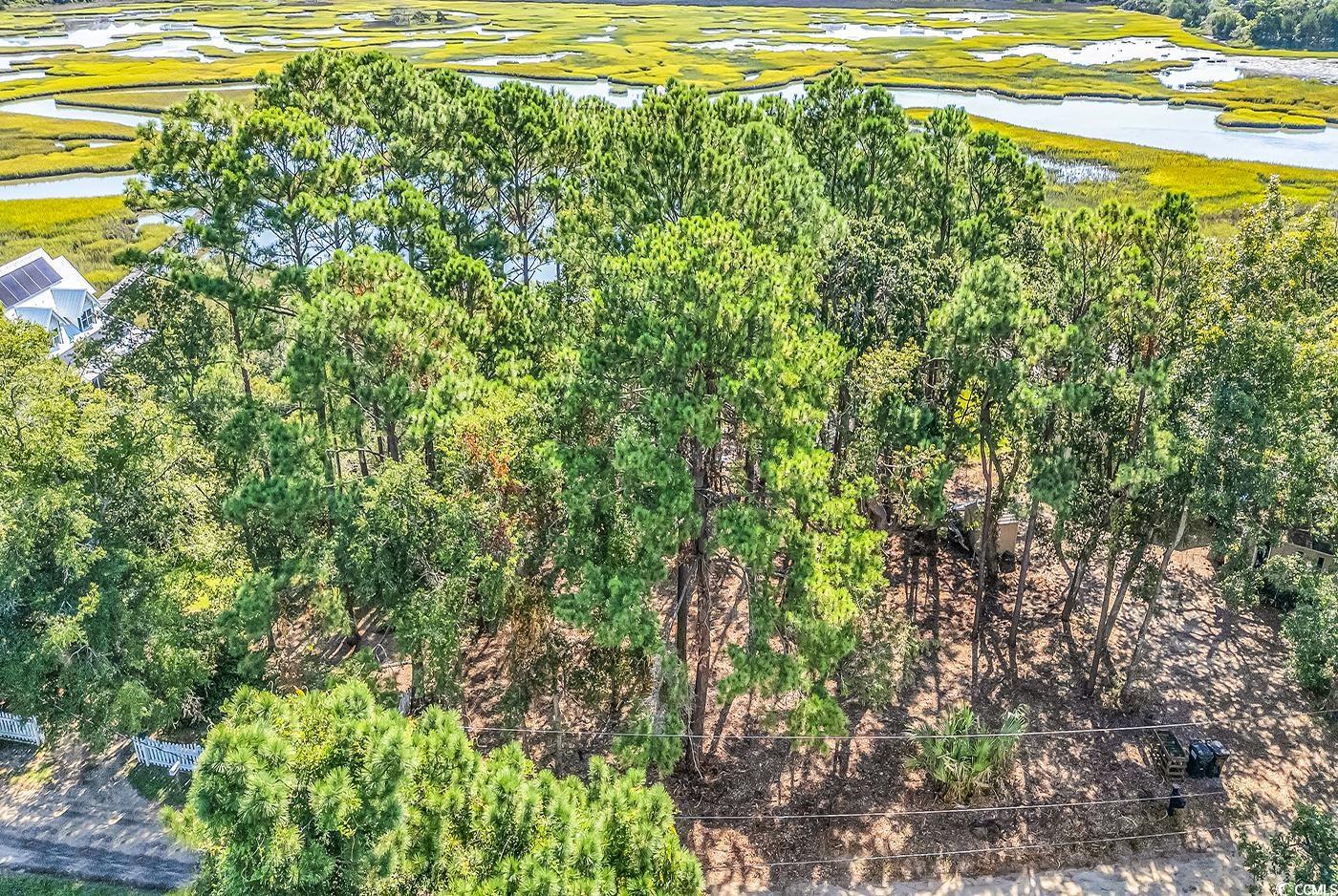 161 Sea Level Loop Property Photo 7