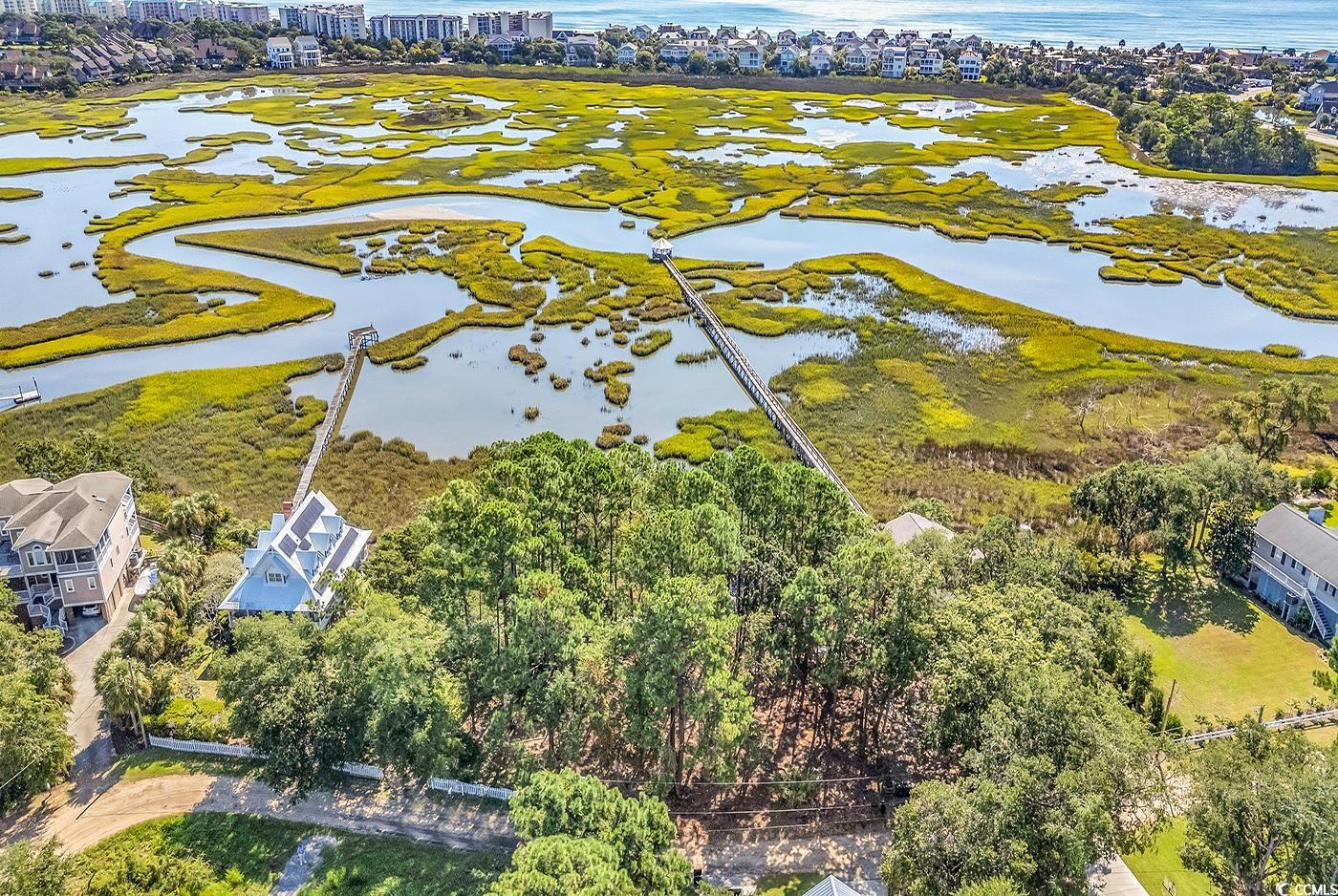 161 Sea Level Loop Property Photo 8