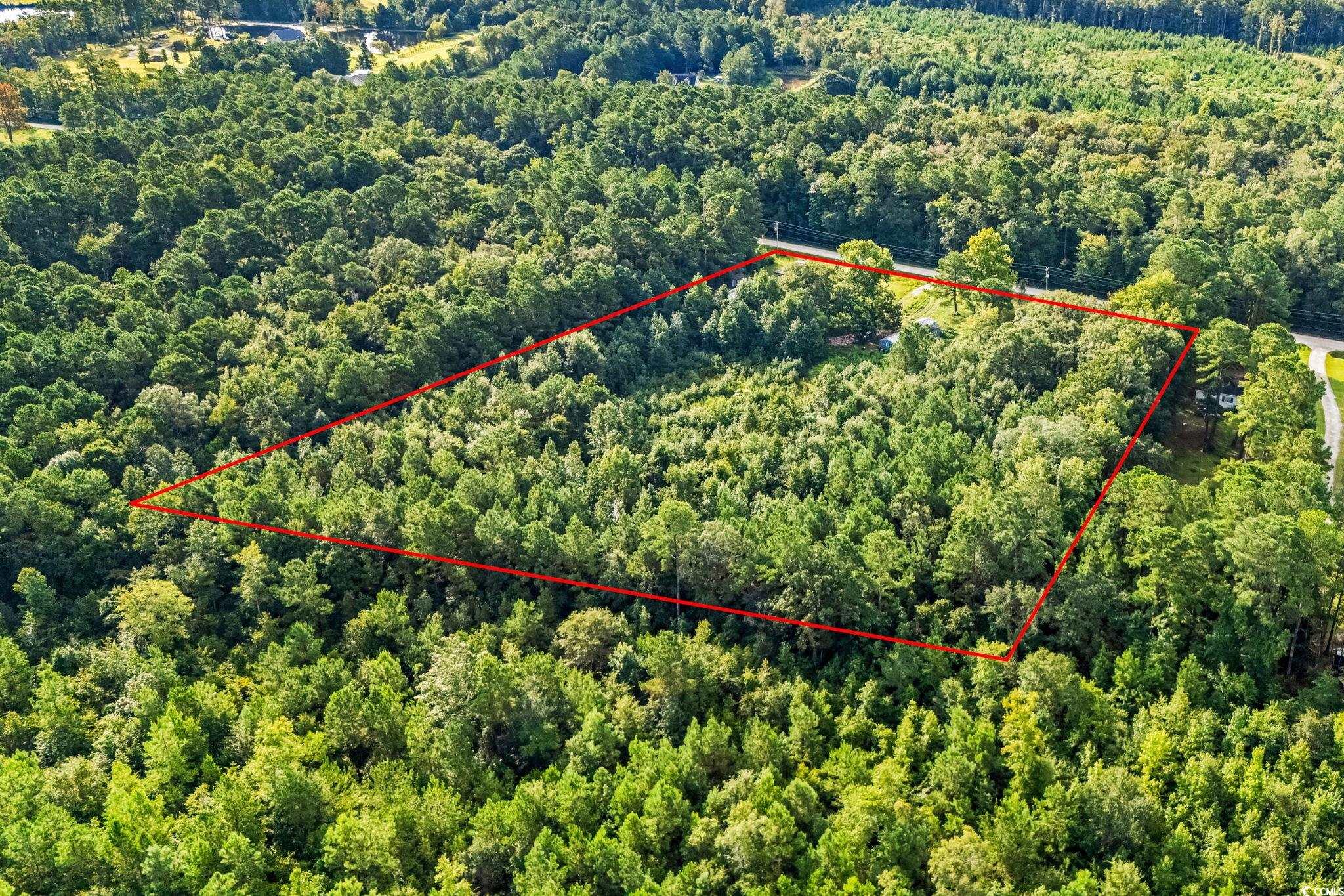 196 Old Wilson Rd. Property Photo 3