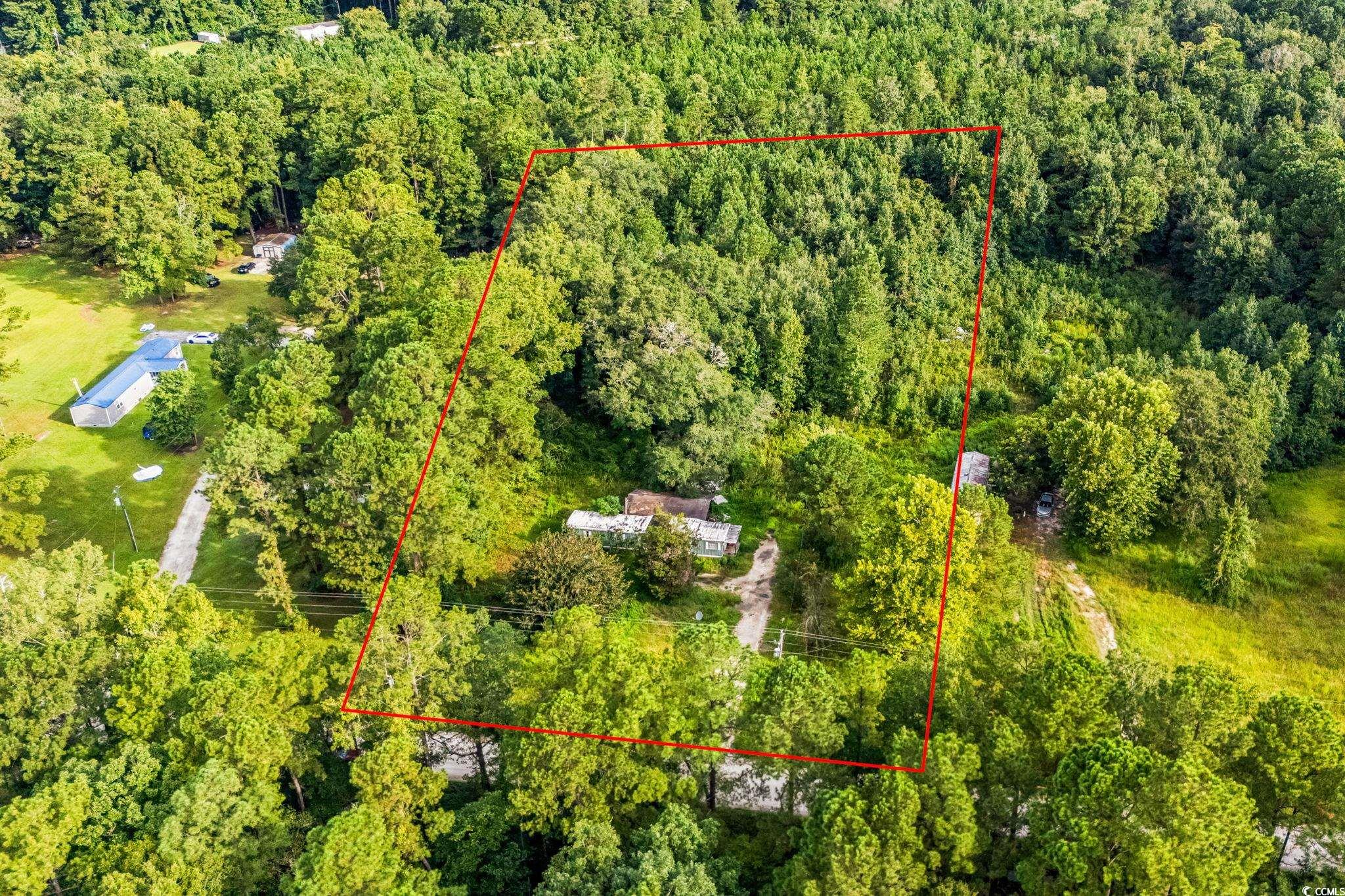 196 Old Wilson Rd. Property Photo 6
