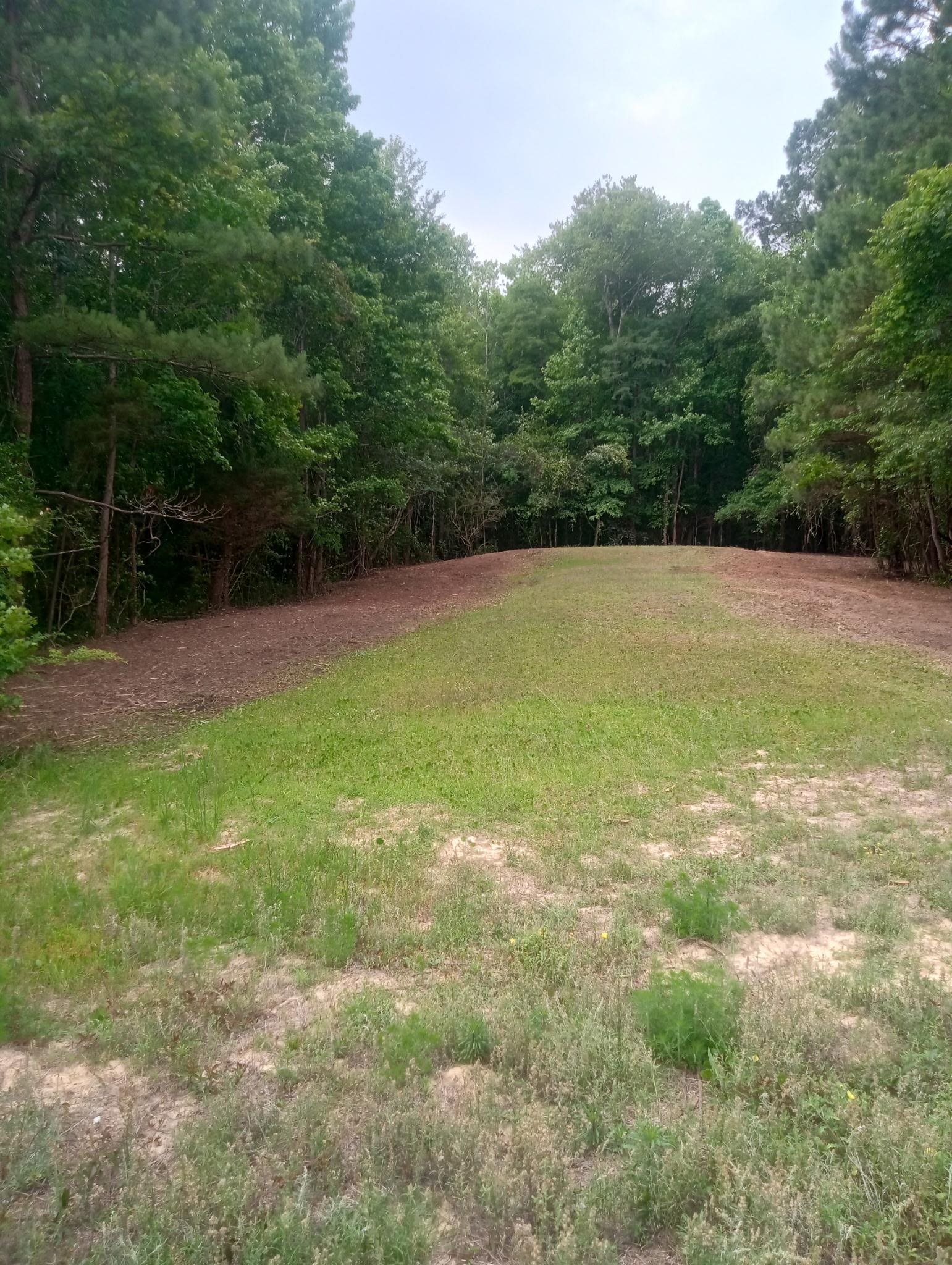 175 Commanders Island Rd. Property Photo 1
