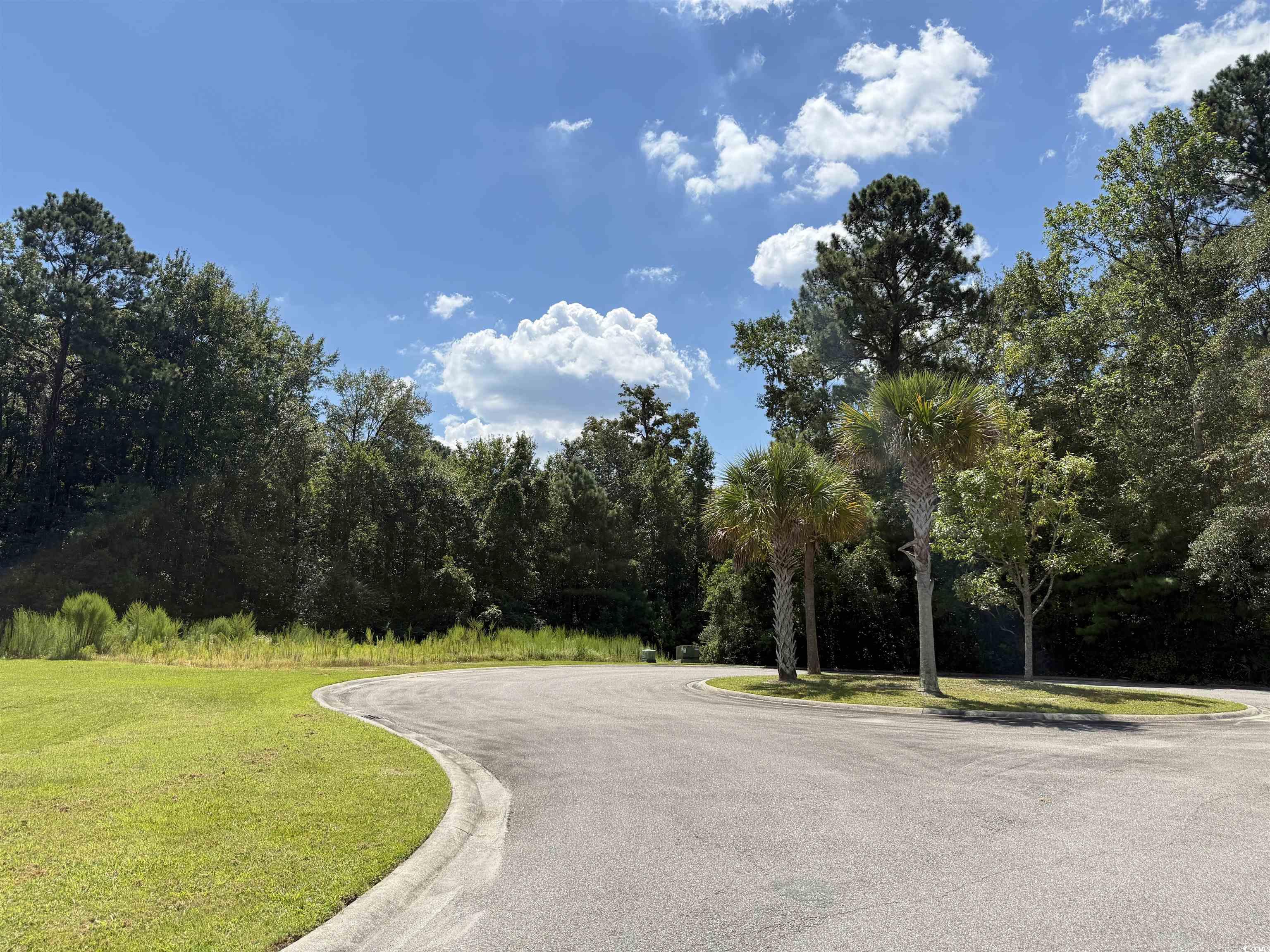 175 Commanders Island Rd. Property Photo 5
