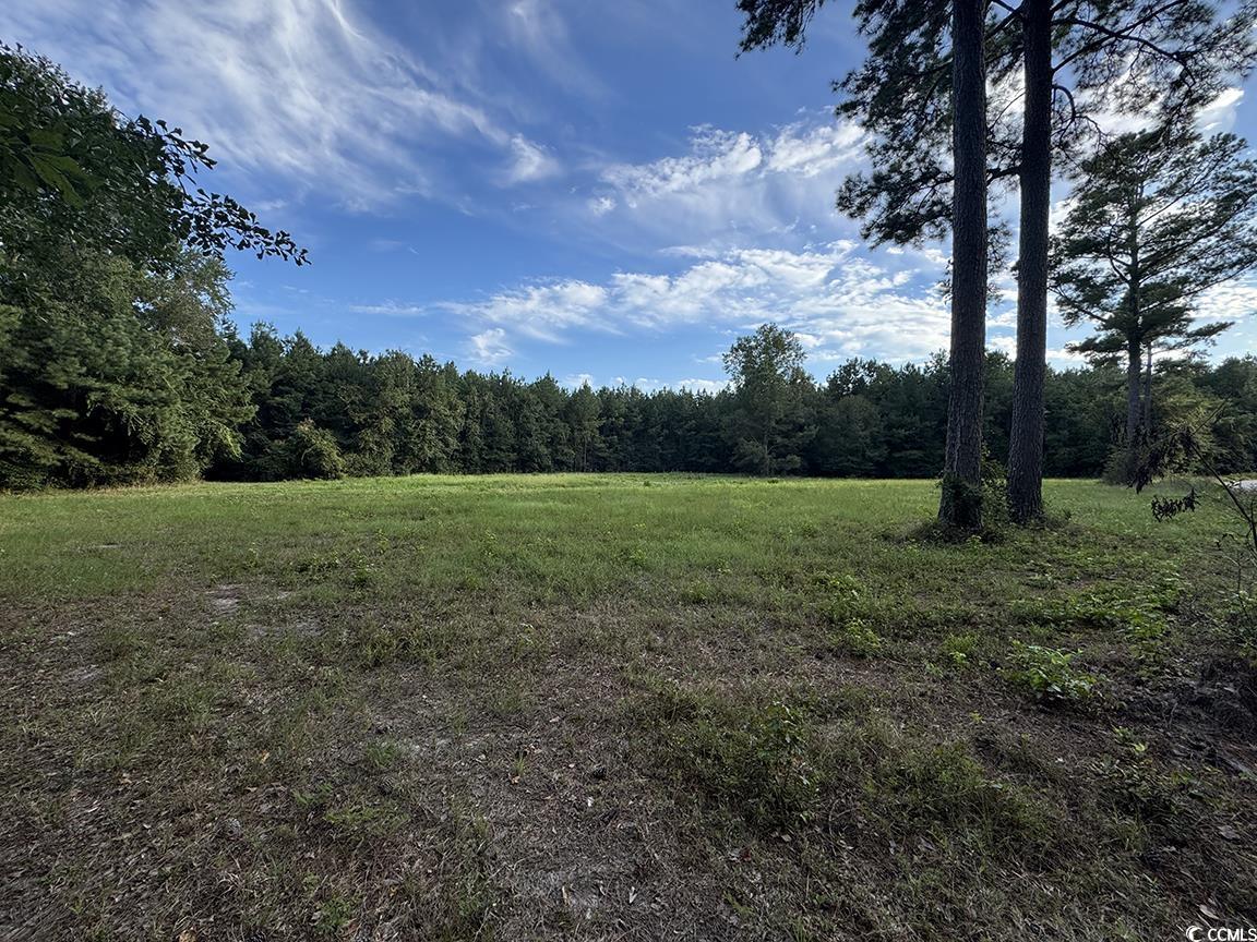 Tbd Dead Ridge Rd Property Photo 1