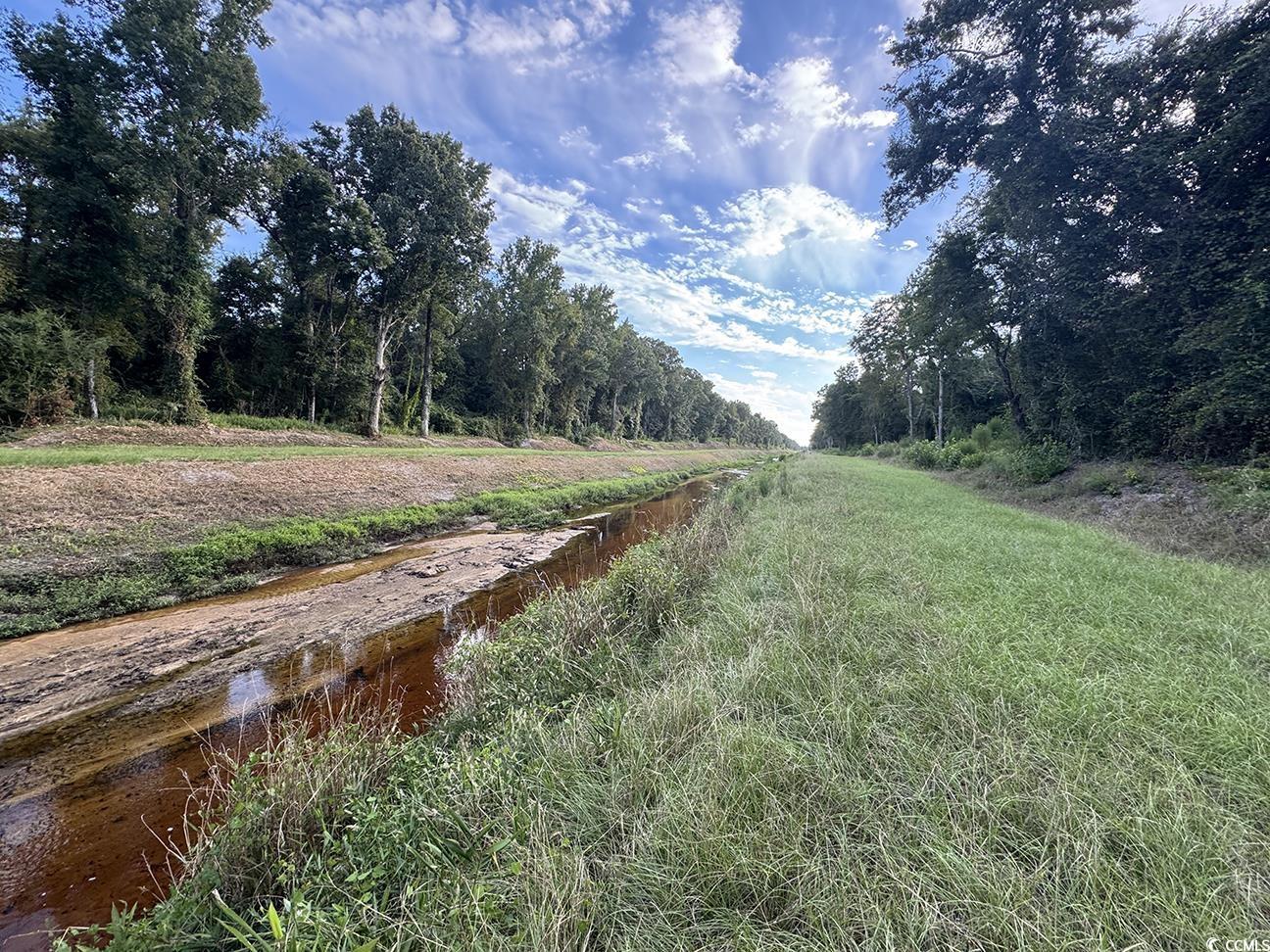 Tbd Dead Ridge Rd Property Photo 2