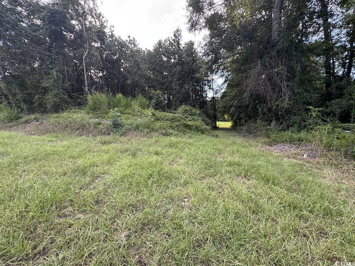 Tbd Dead Ridge Rd Property Photo 3