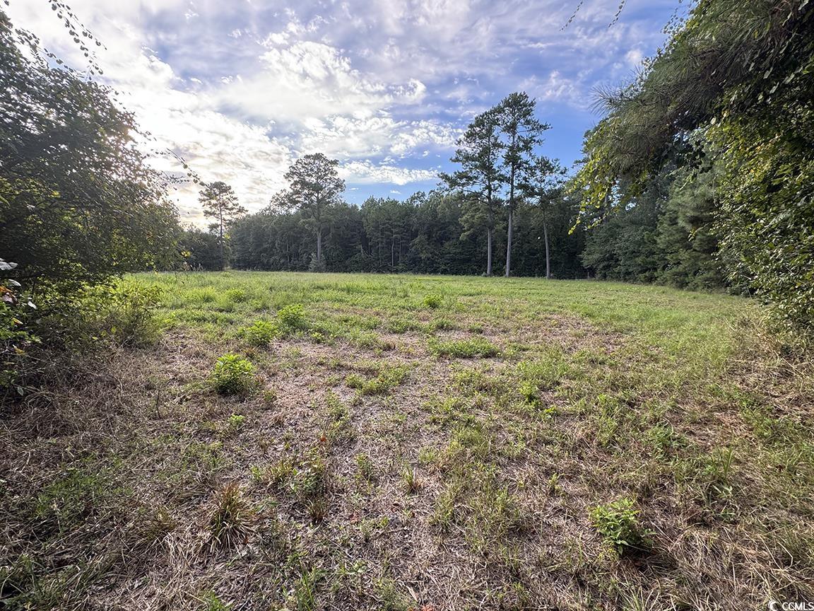 Tbd Dead Ridge Rd Property Photo 4