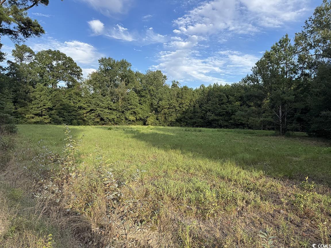 Tbd Dead Ridge Rd Property Photo 5