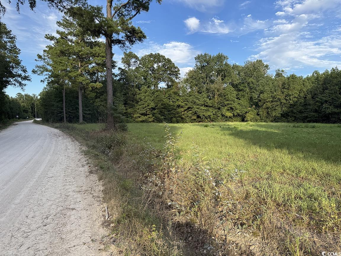 Tbd Dead Ridge Rd Property Photo 6