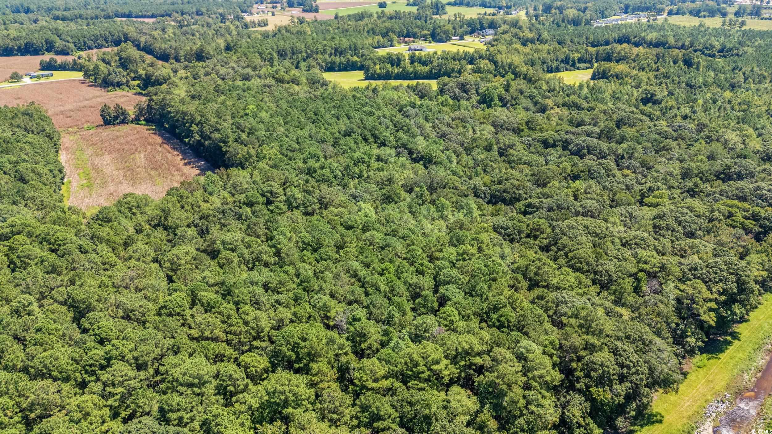Tbd Myrtle West Dr. Property Photo 9