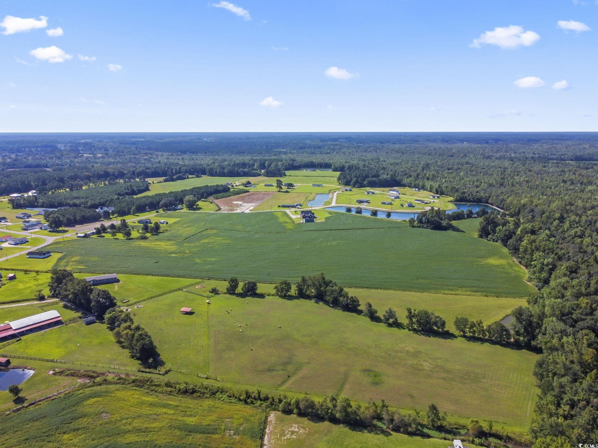 2846 New Home Circle Property Photo 16