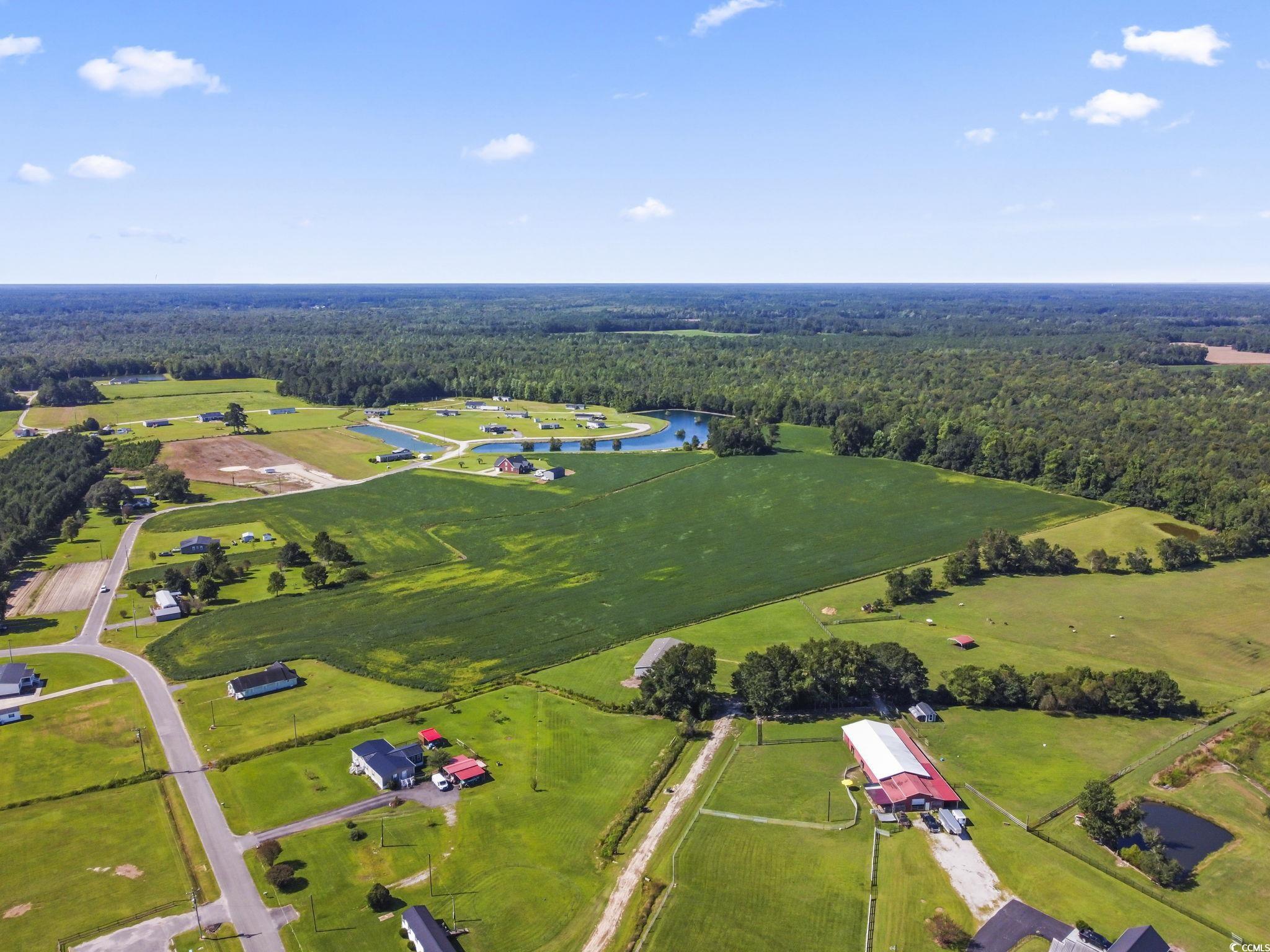 2846 New Home Circle Property Photo 18