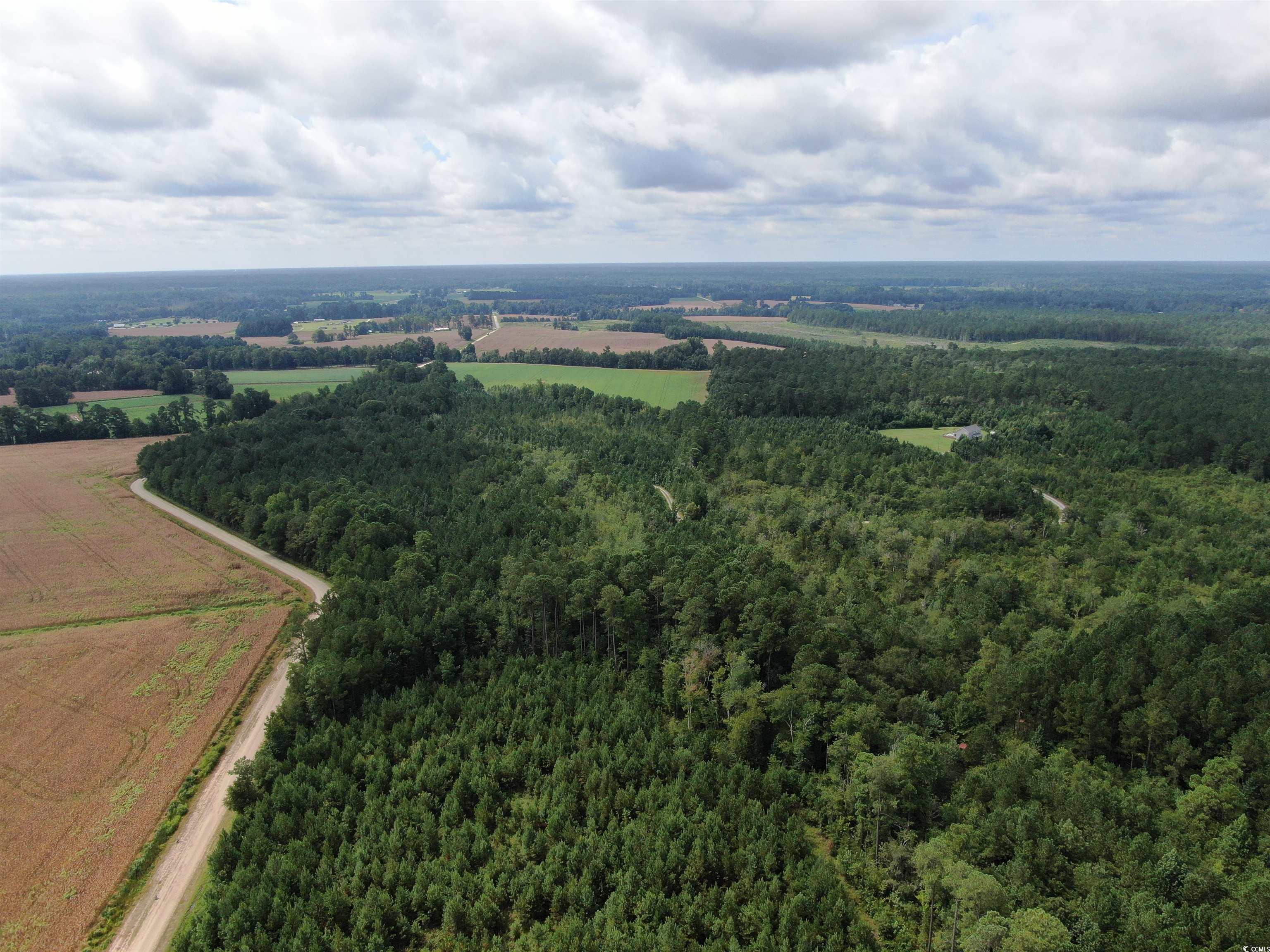 Tbd Shelley Path Property Photo 3