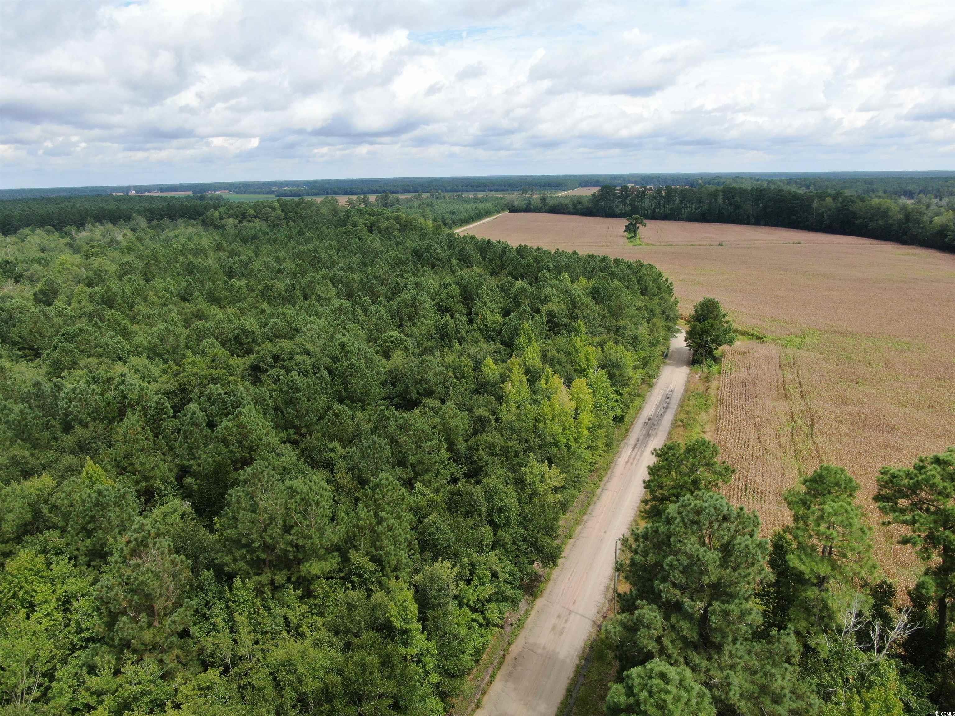 Tbd Shelley Path Property Photo 6