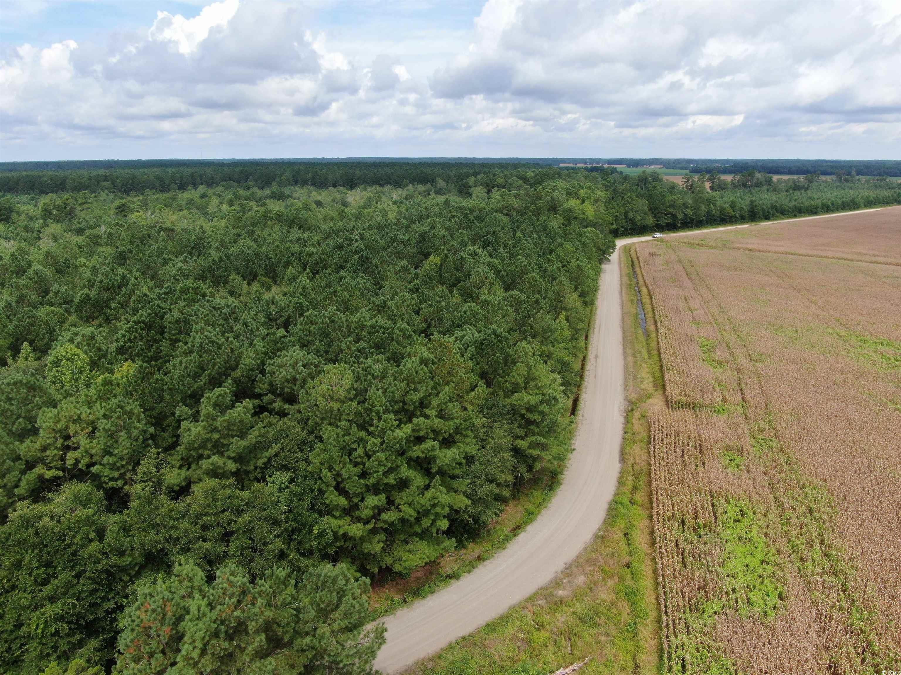 Tbd Shelley Path Property Photo 7