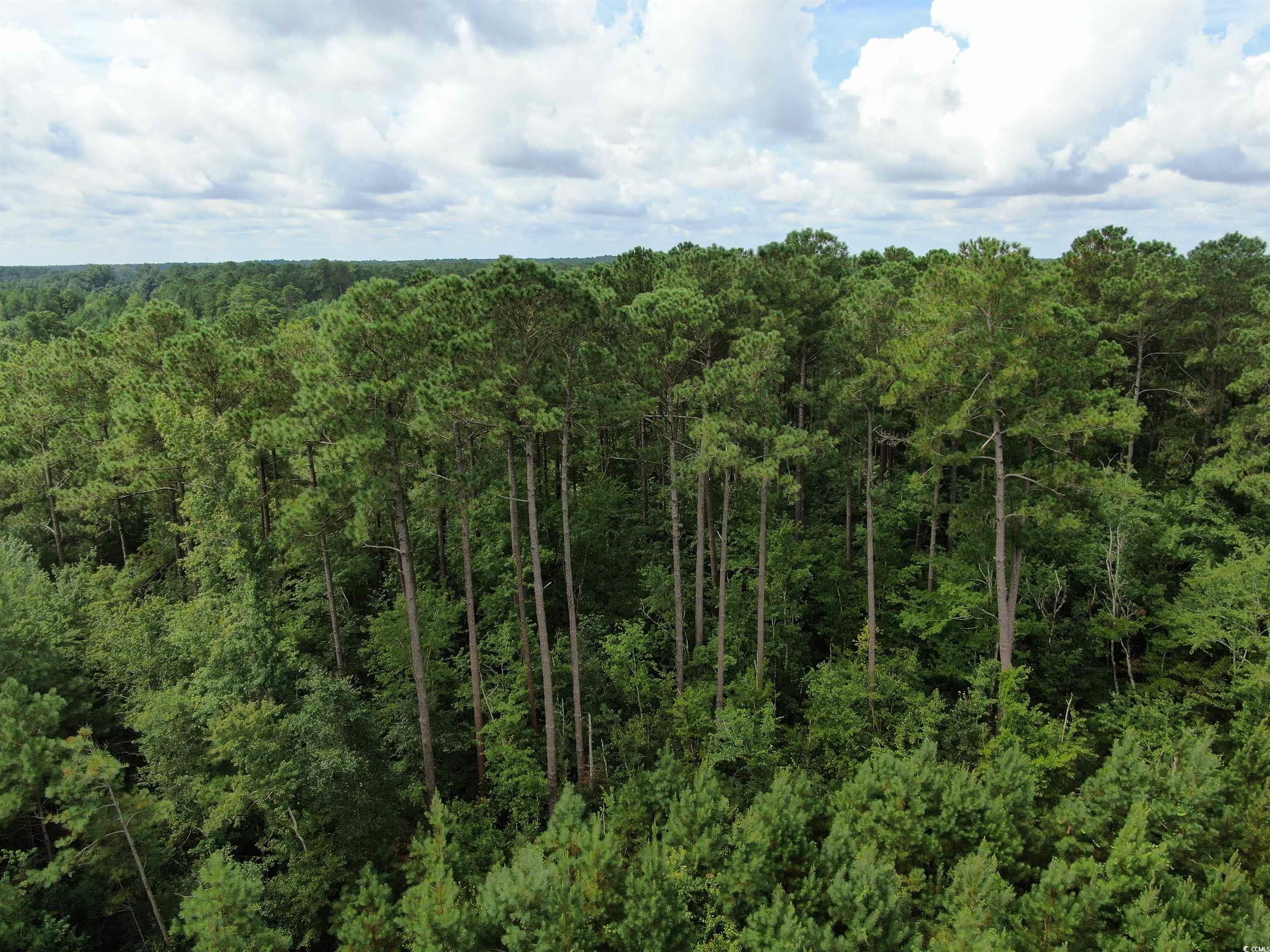 Tbd Shelley Path Property Photo 8