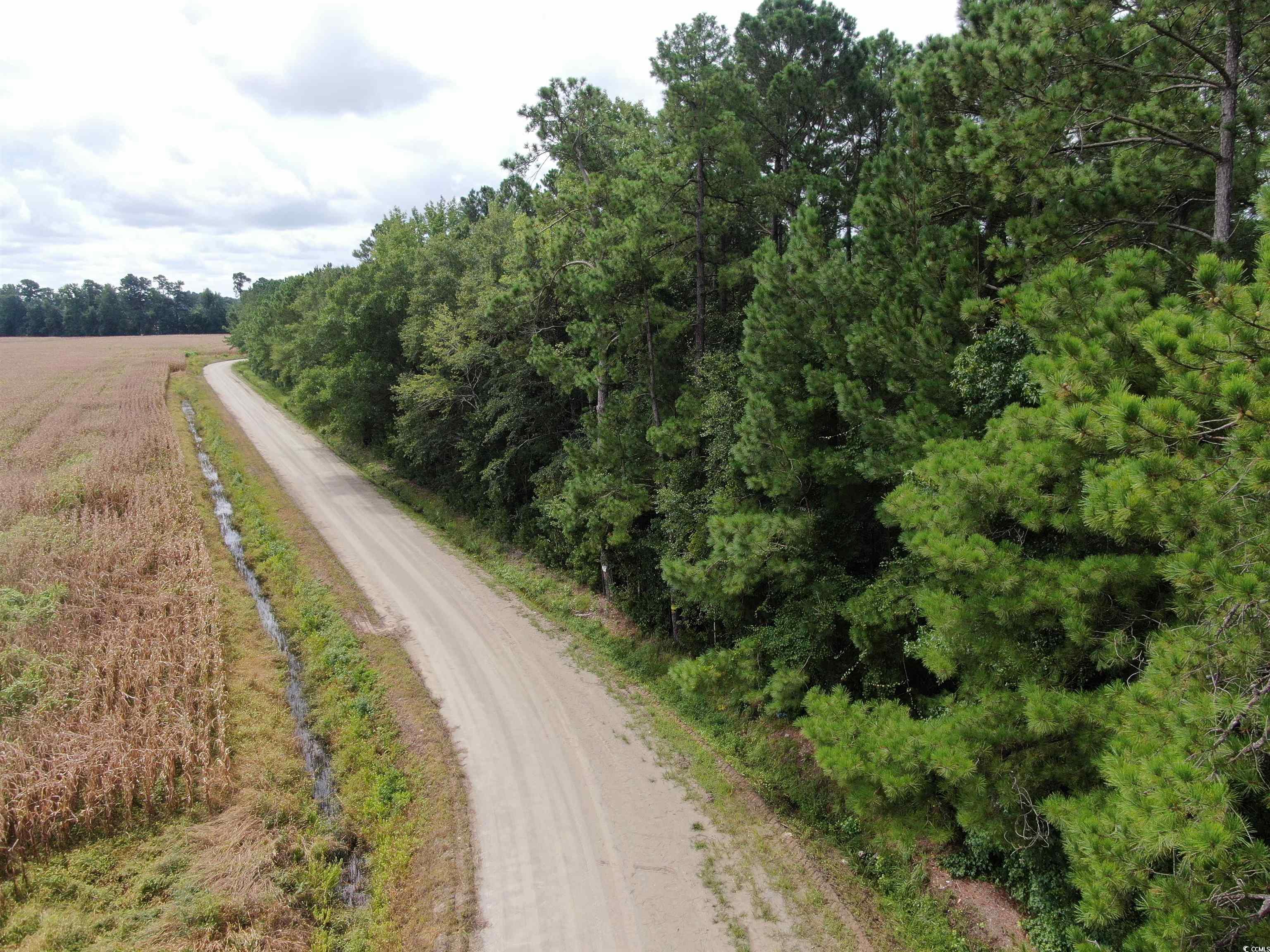 Tbd Shelley Path Property Photo 9