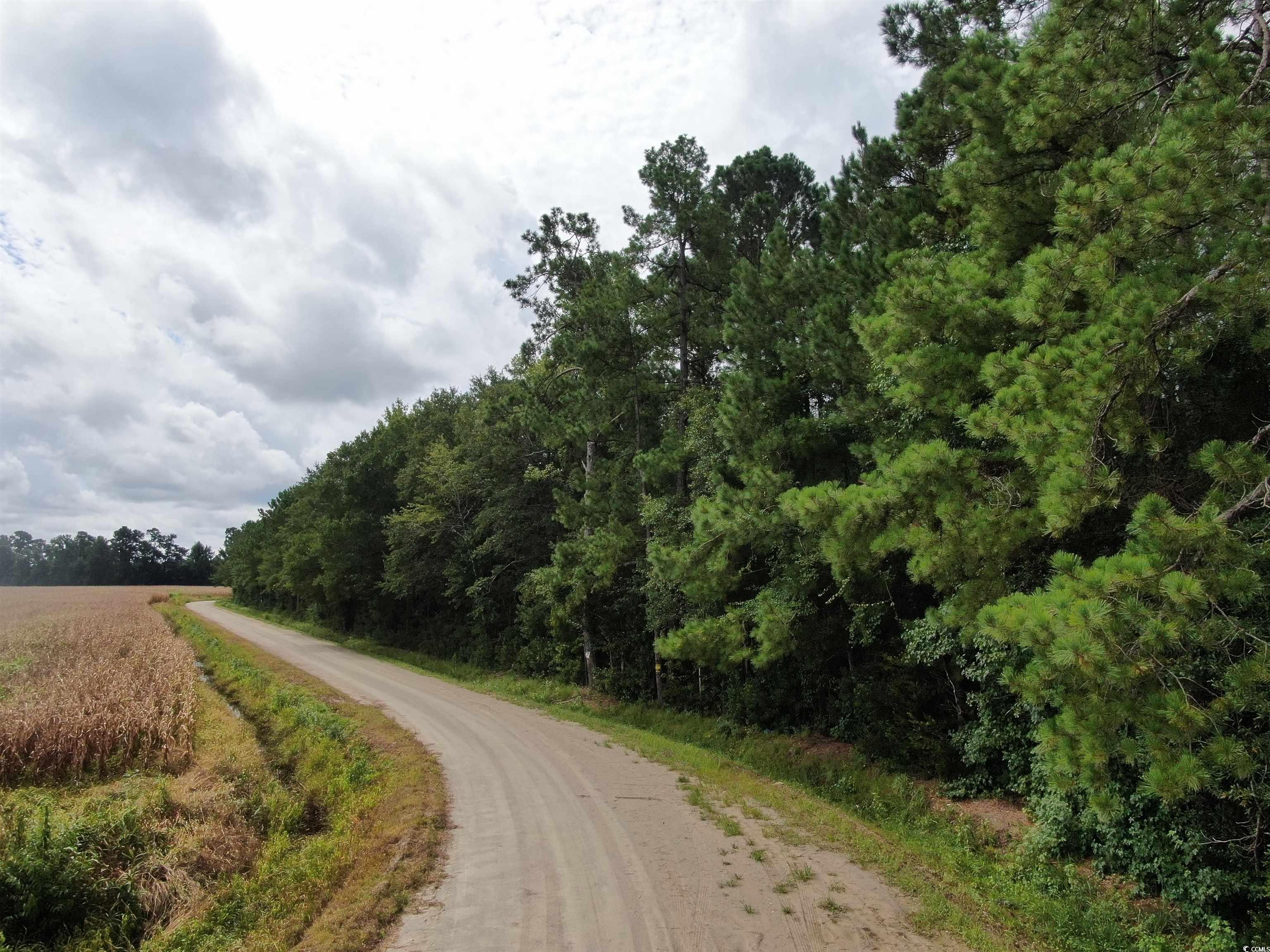 Tbd Shelley Path Property Photo 10