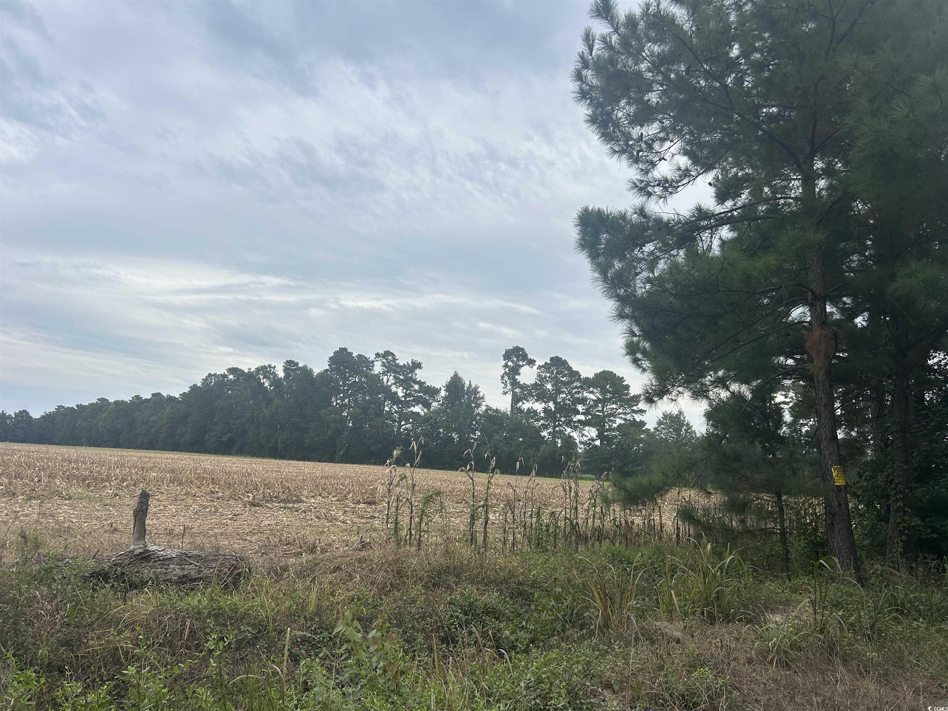 Tbd Shelley Path Property Photo 11