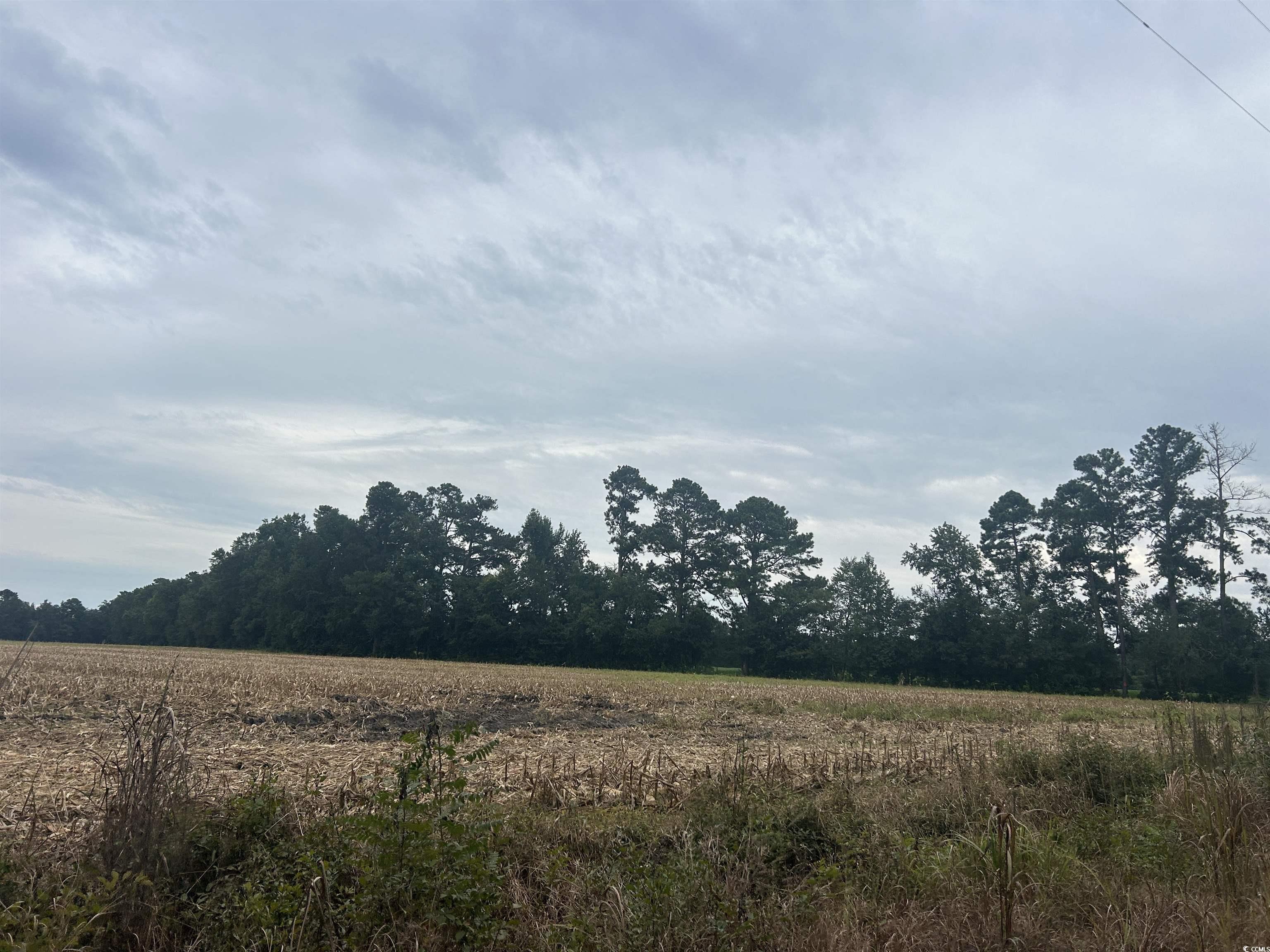 Tbd Shelley Path Property Photo 12