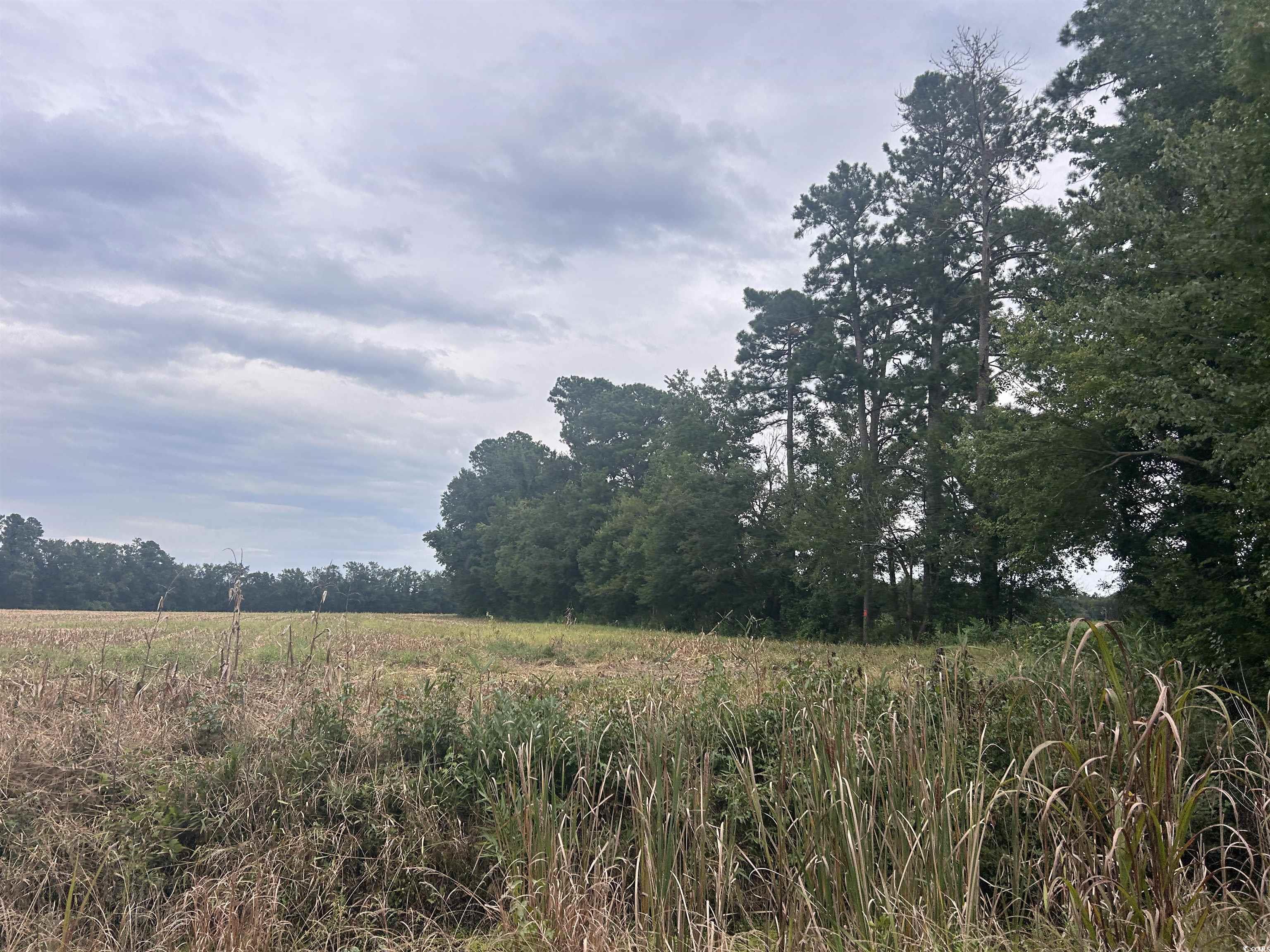 Tbd Shelley Path Property Photo 13