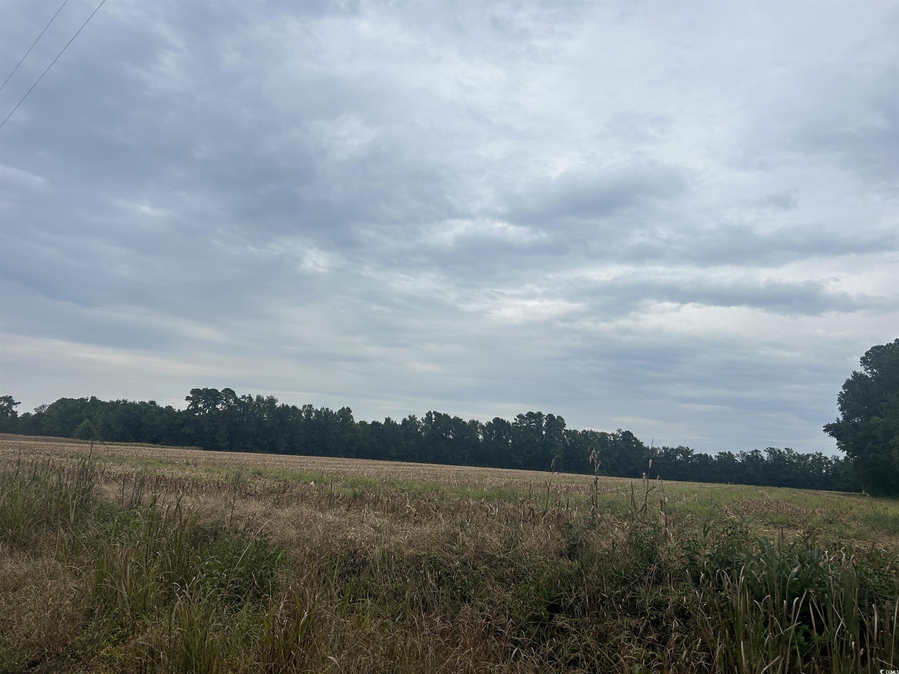 Tbd Shelley Path Property Photo 14