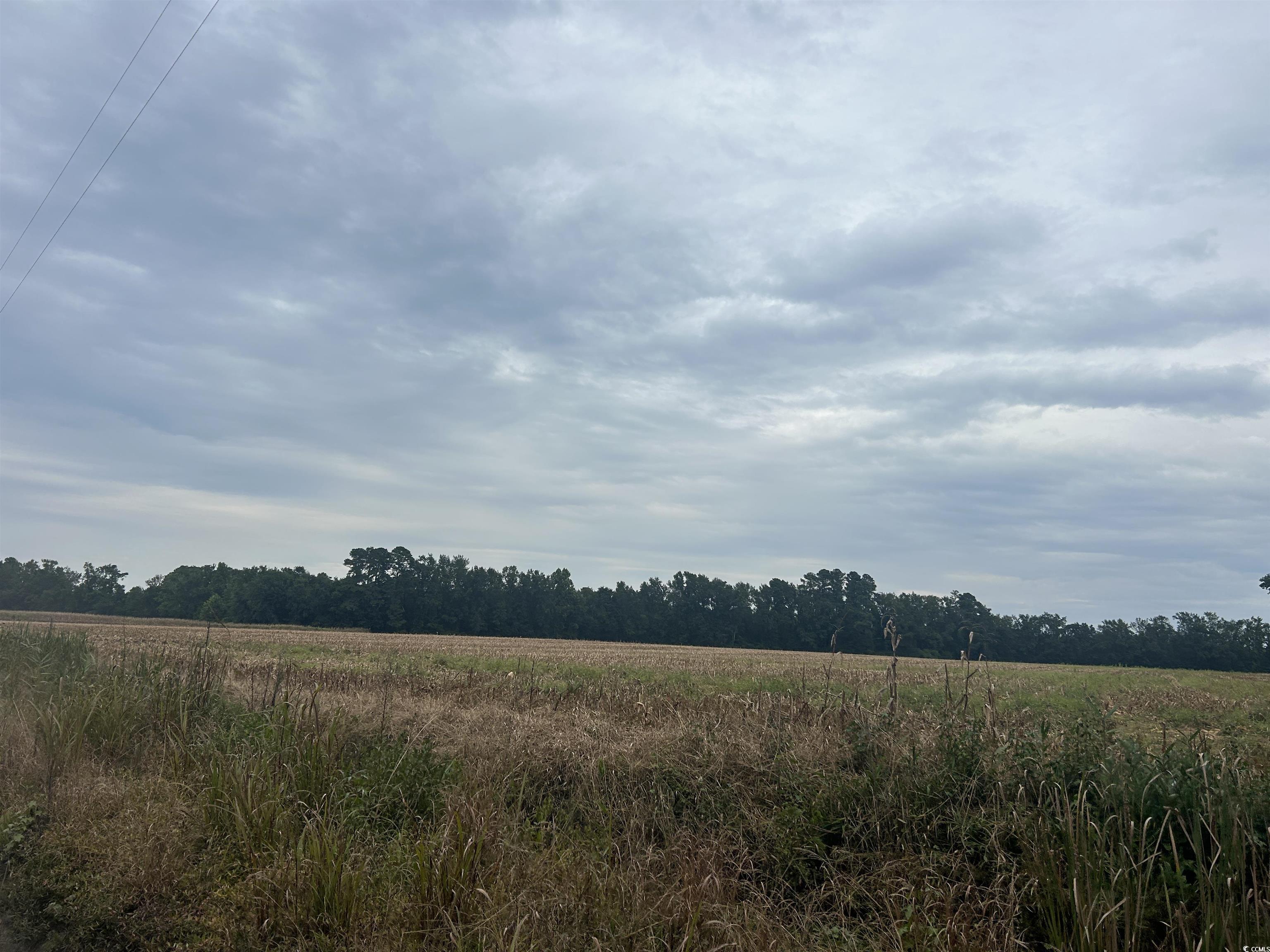 Tbd Shelley Path Property Photo 15