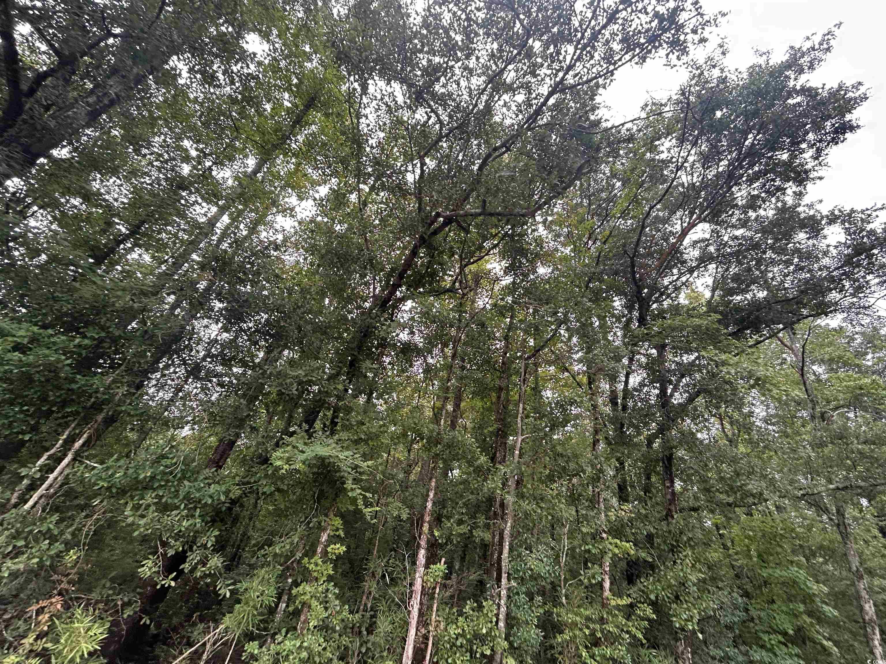 Tbd Shelley Path Property Photo 16