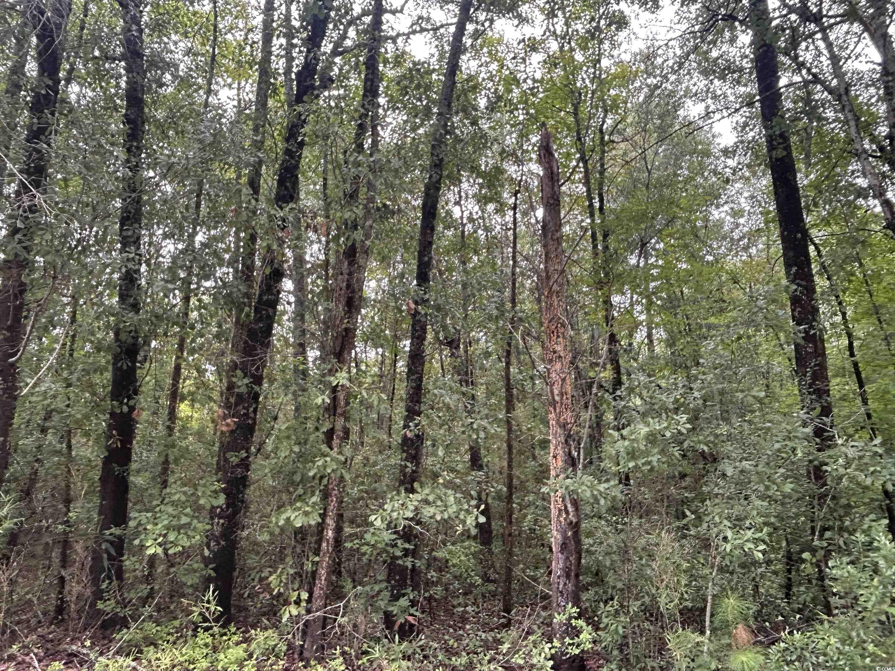 Tbd Shelley Path Property Photo 17