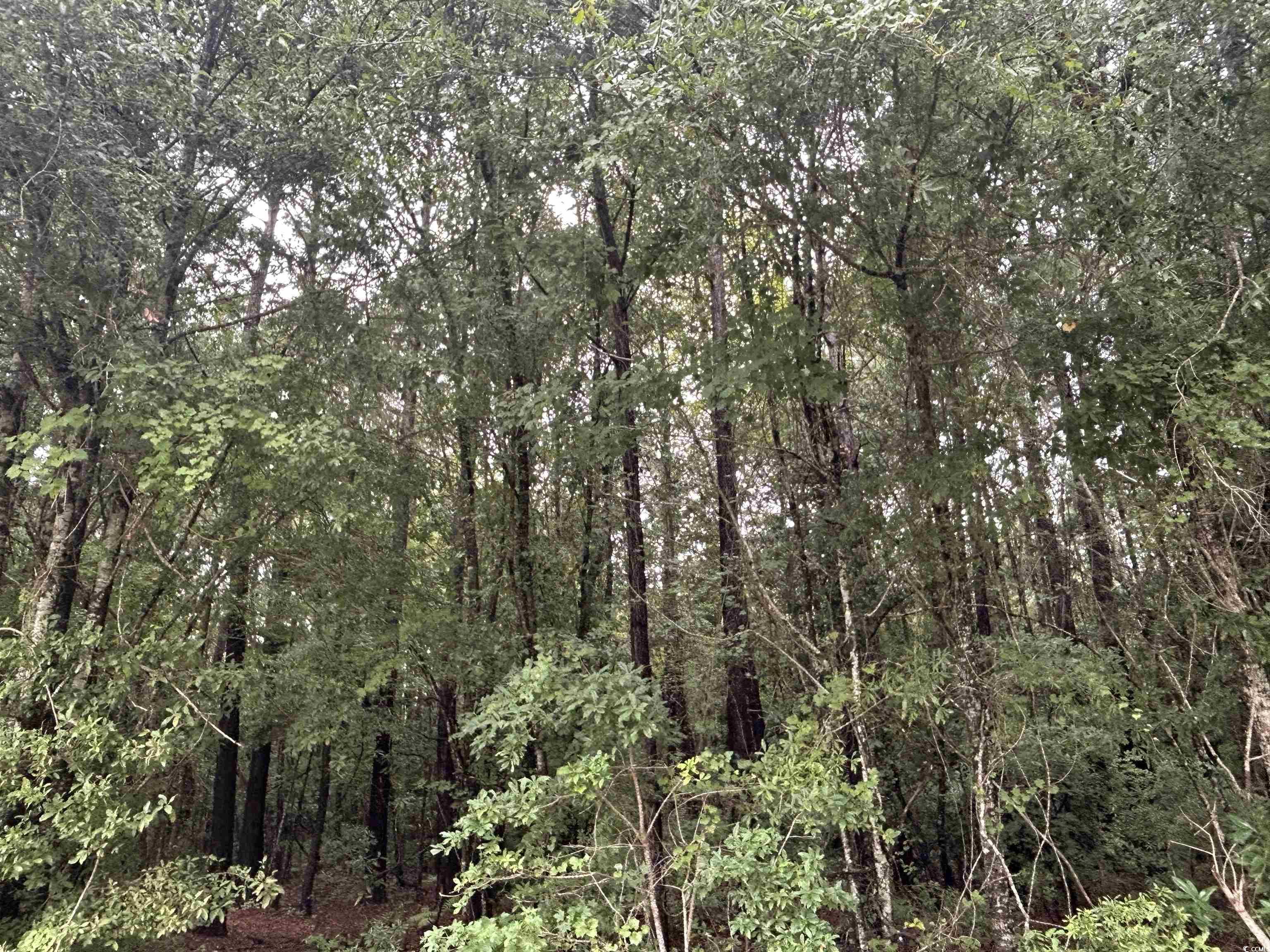 Tbd Shelley Path Property Photo 18