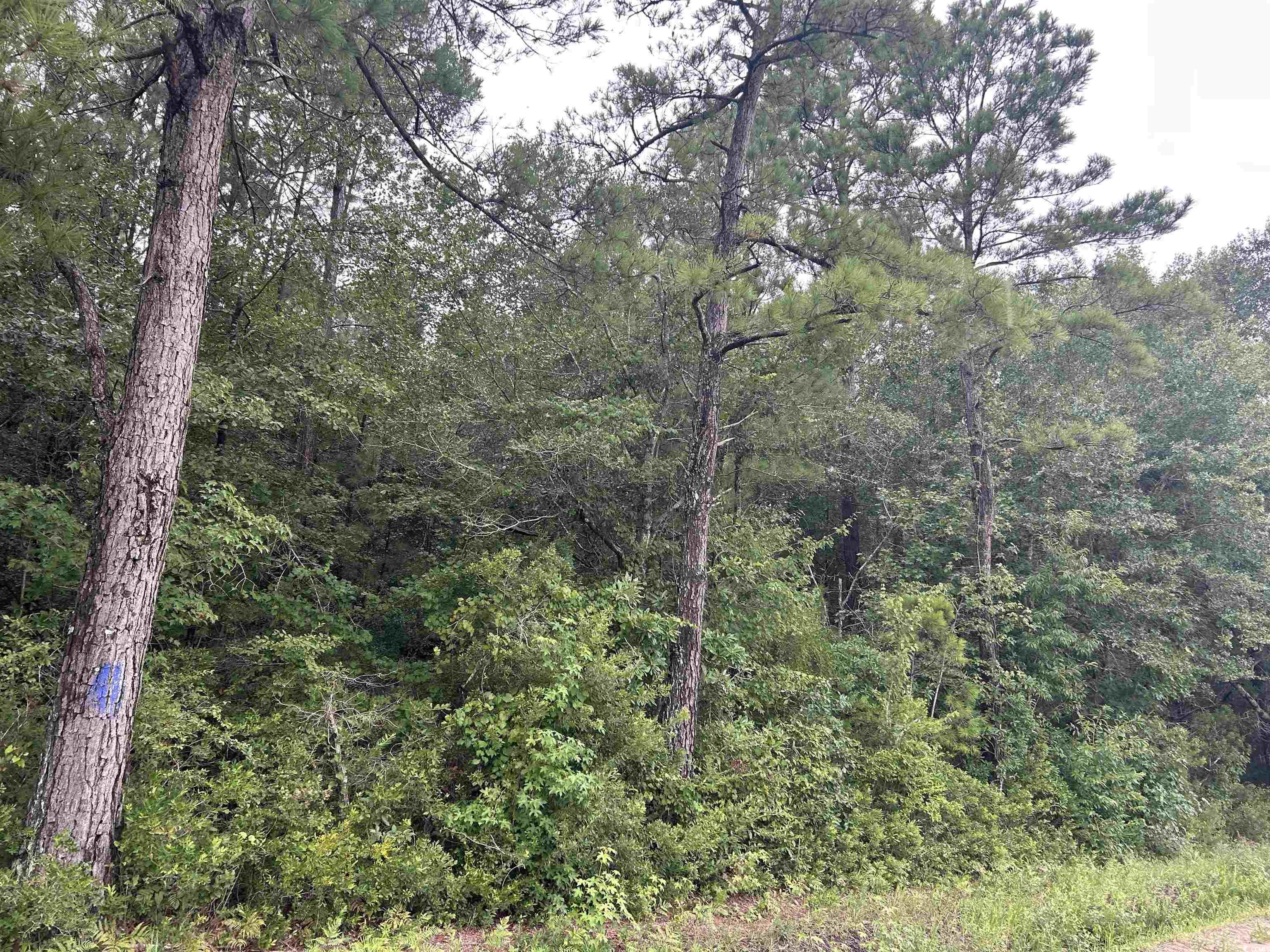 Tbd Shelley Path Property Photo 19