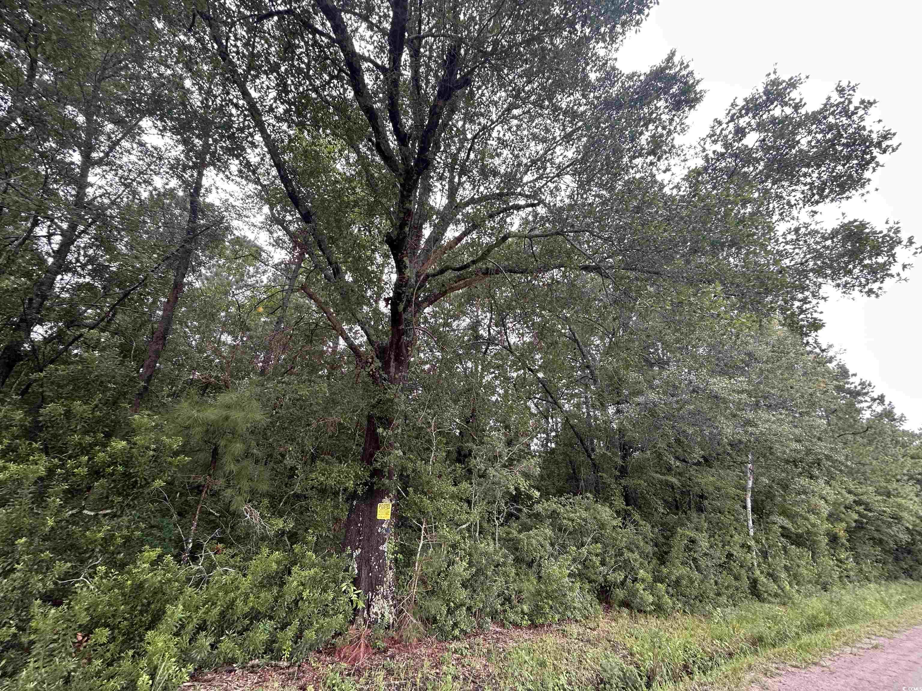 Tbd Shelley Path Property Photo 20