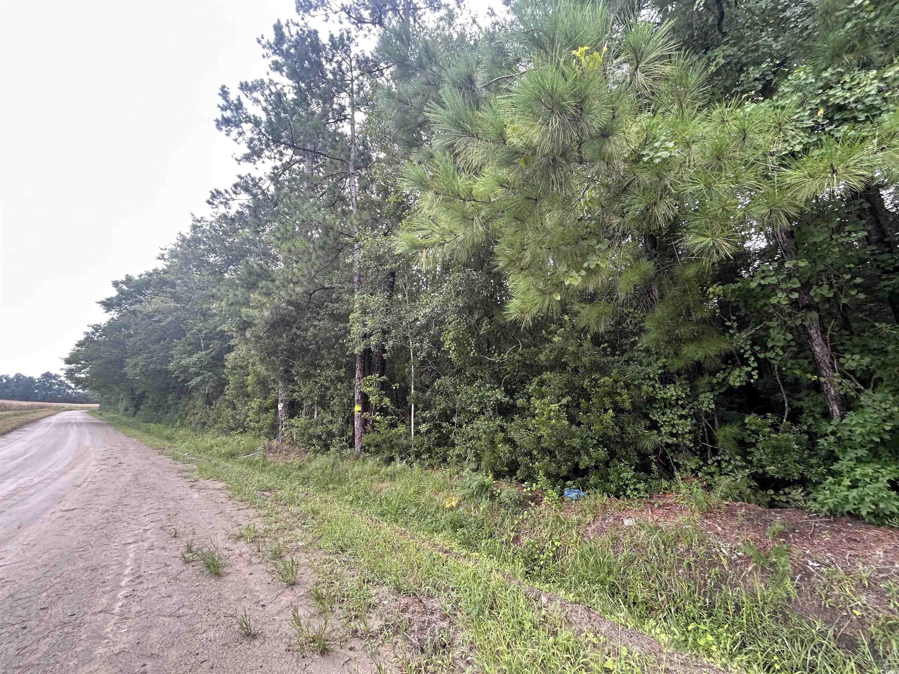 Tbd Shelley Path Property Photo 21