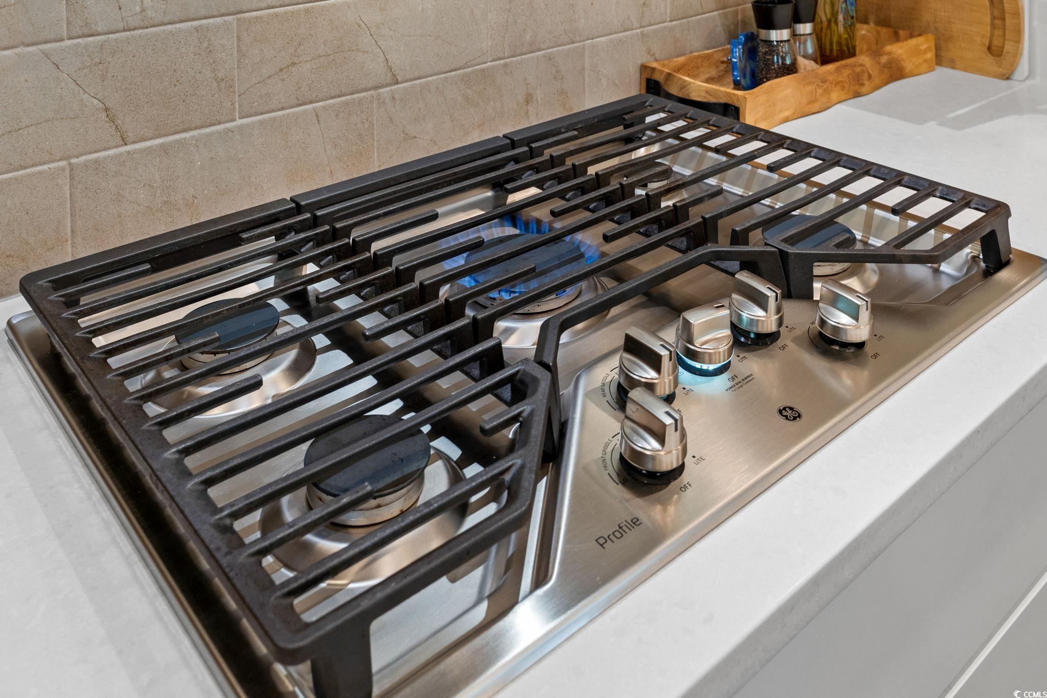 3001 Viceroy Loop Property Photo 16