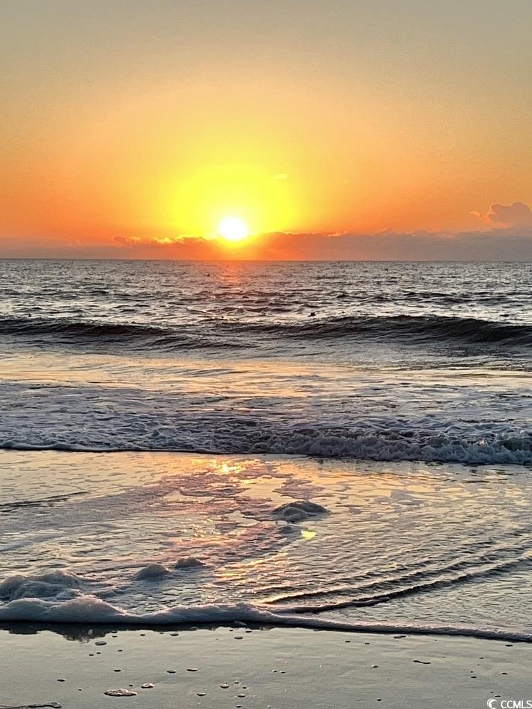 81 Delray Dr. Property Photo 35